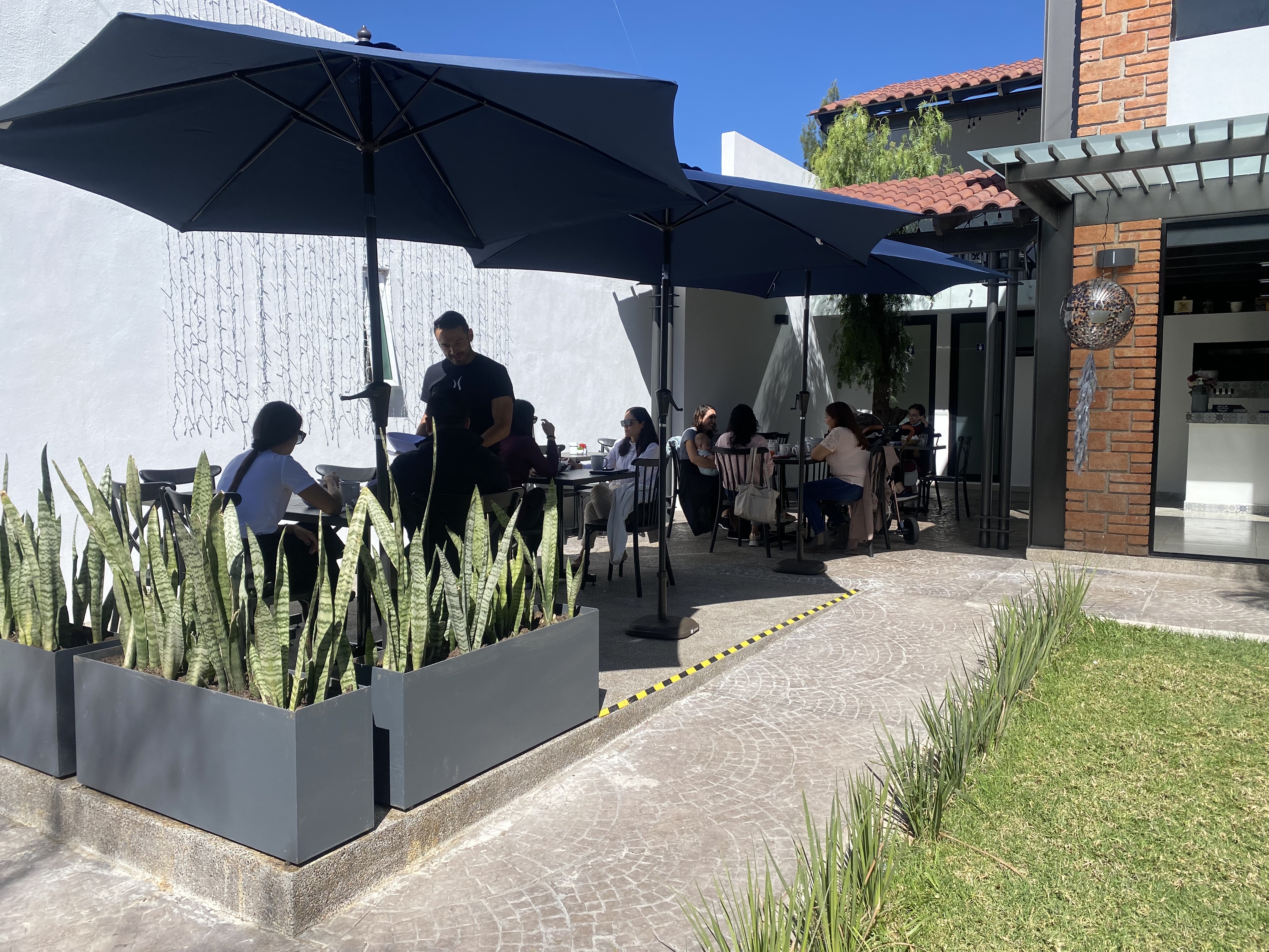 AM:PM 1122 CHILAQUILES & CHEVES image 2