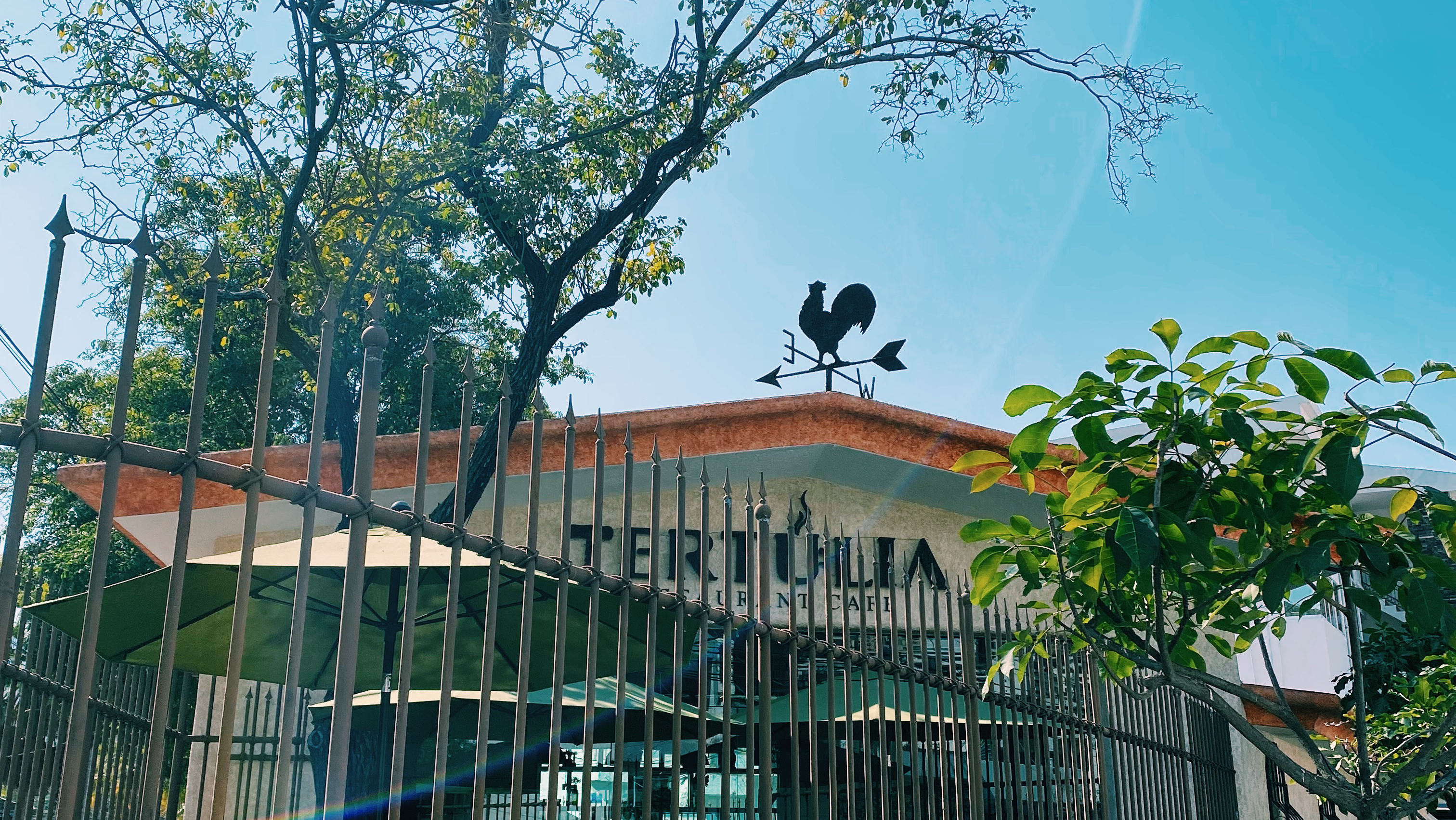 Tertulia (Restaurante & Café) image 3