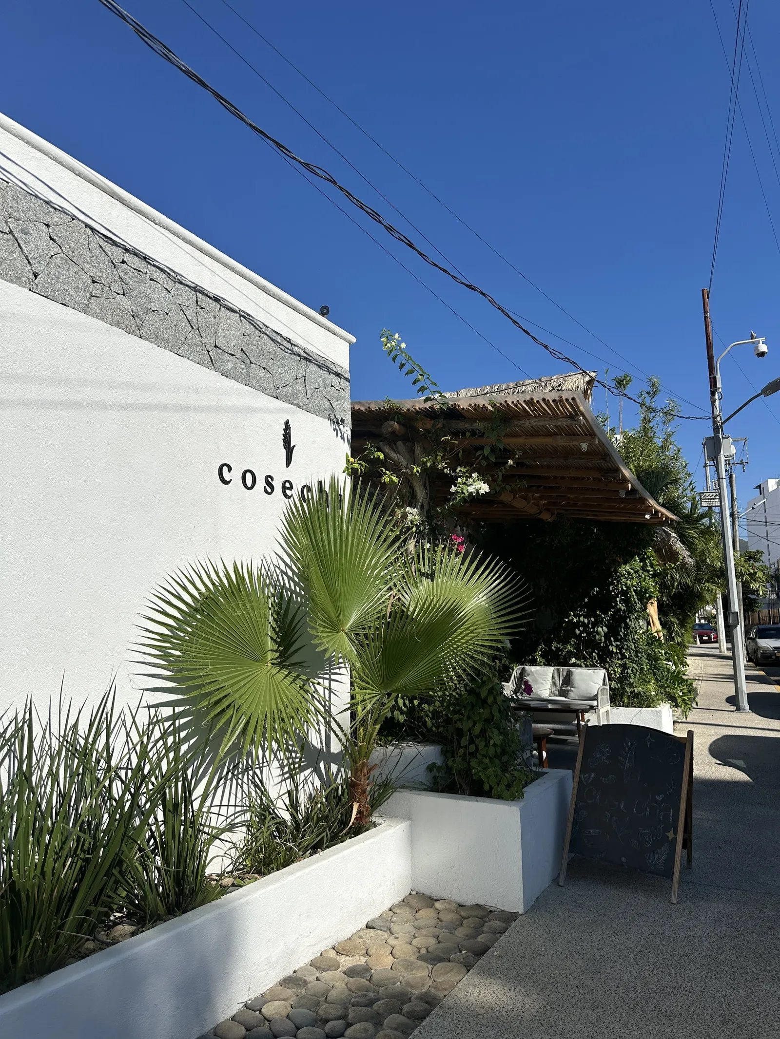 Cosecha image 6