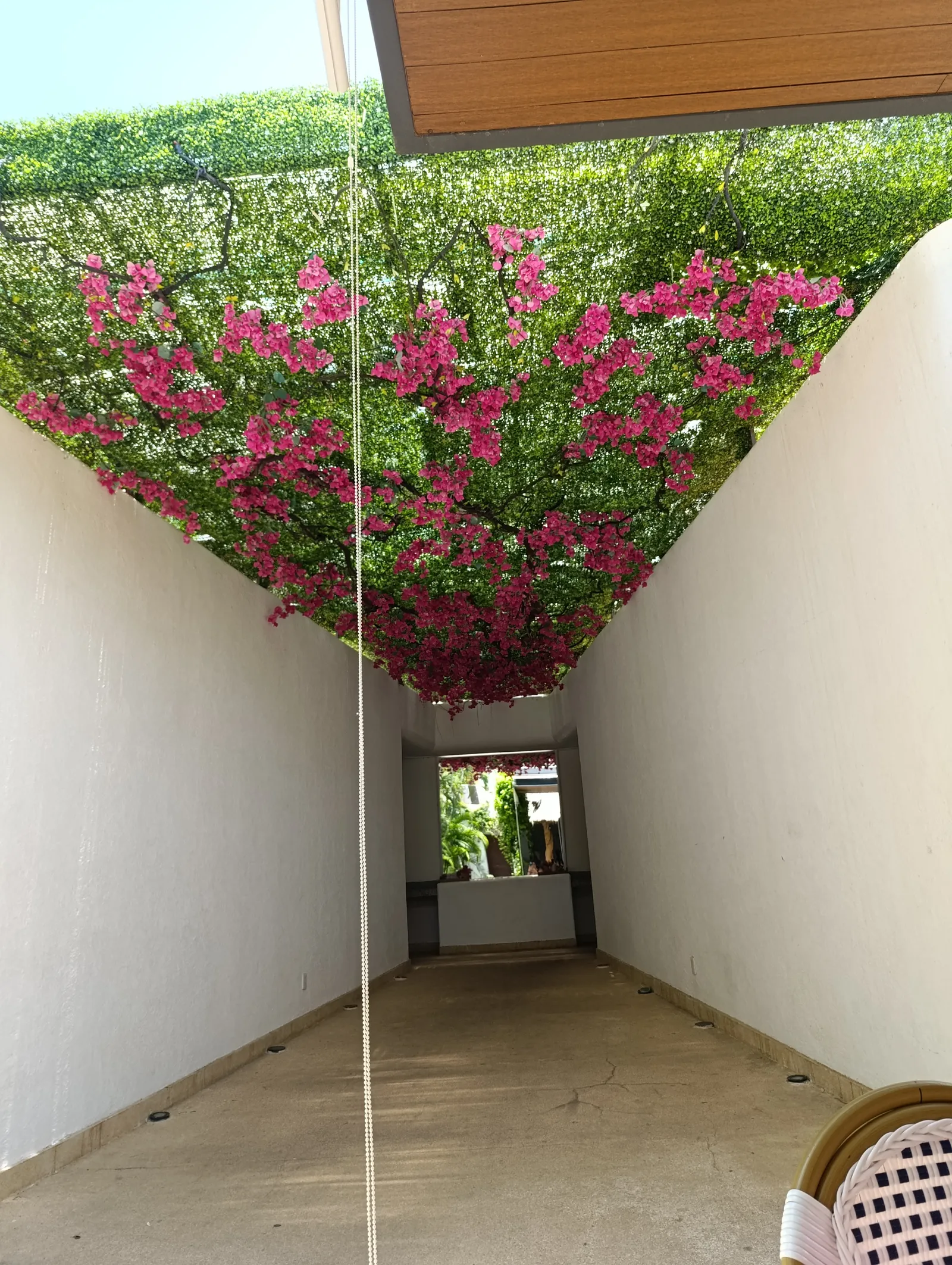 Cosecha image 7