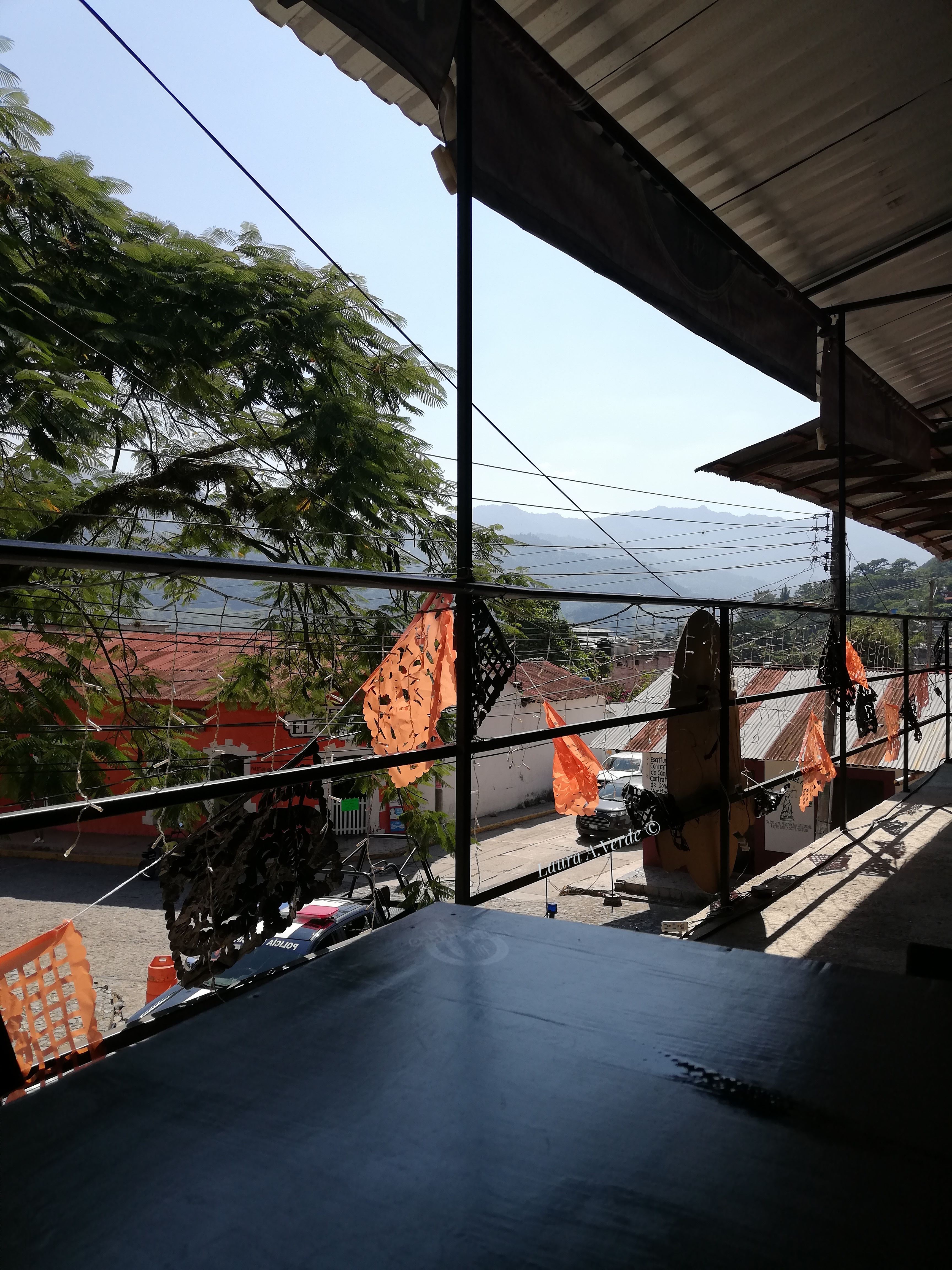 Pata De Perro SBT image 2