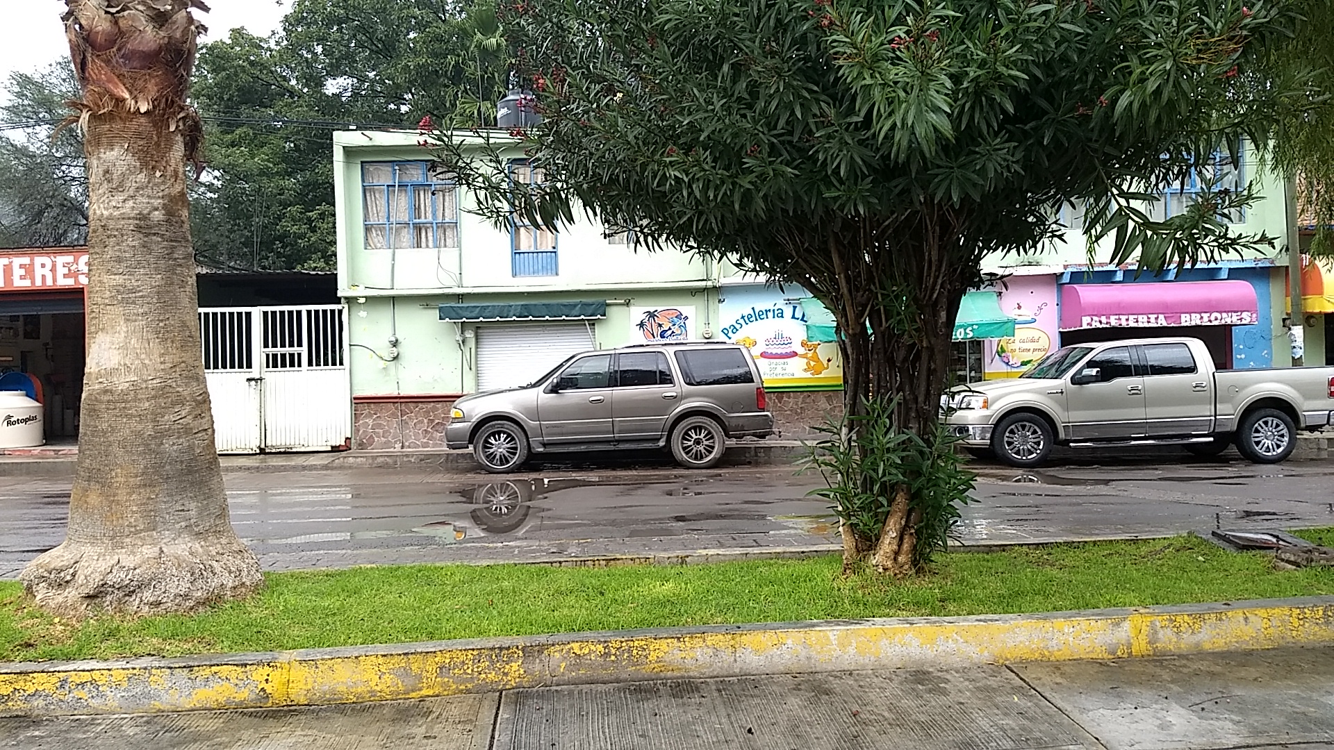 Mariscos Puerto Vallarta El Rey Lagarto image 2