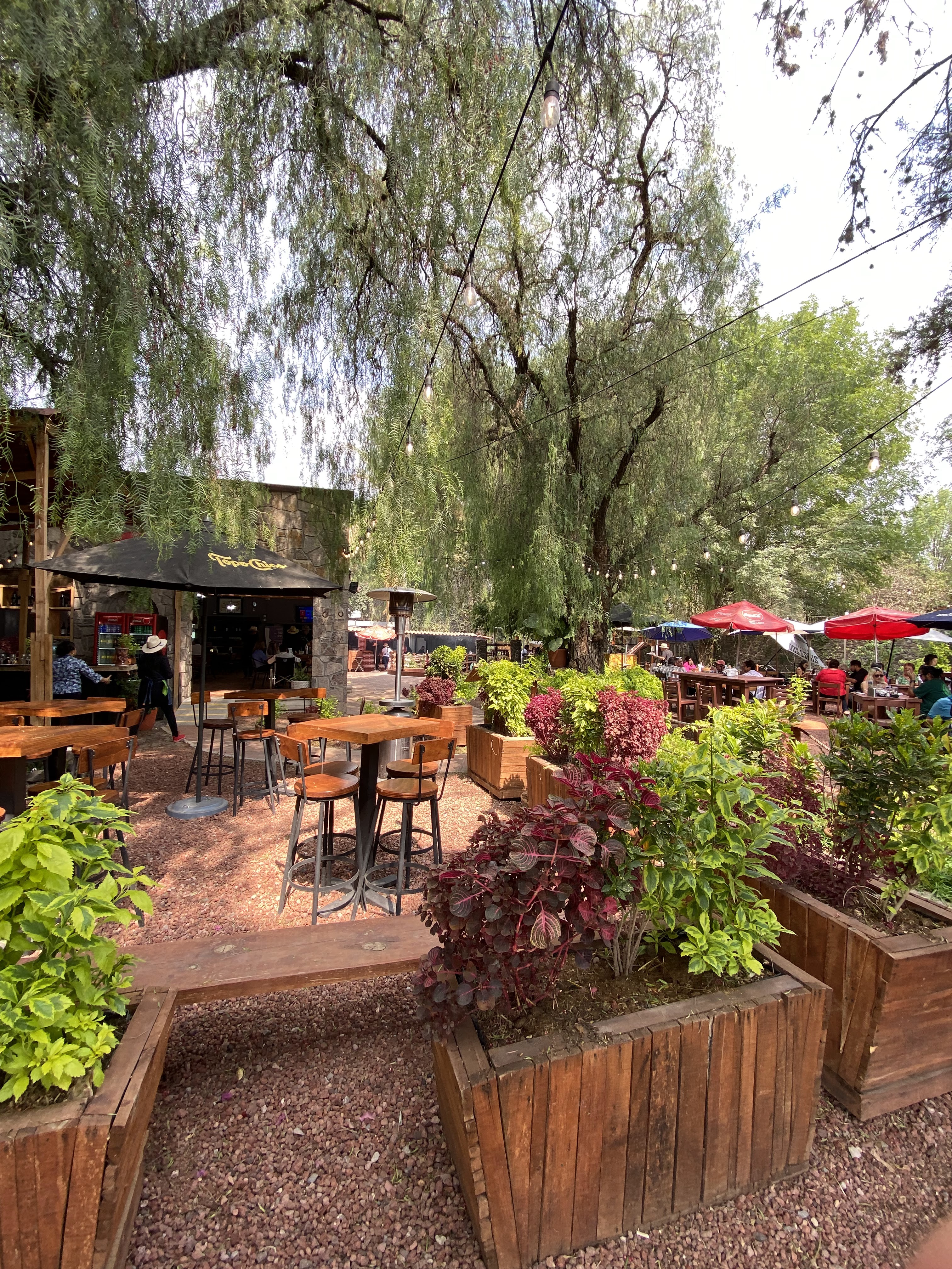 Carbonero - Cocina de tierra, mar y leña image 4