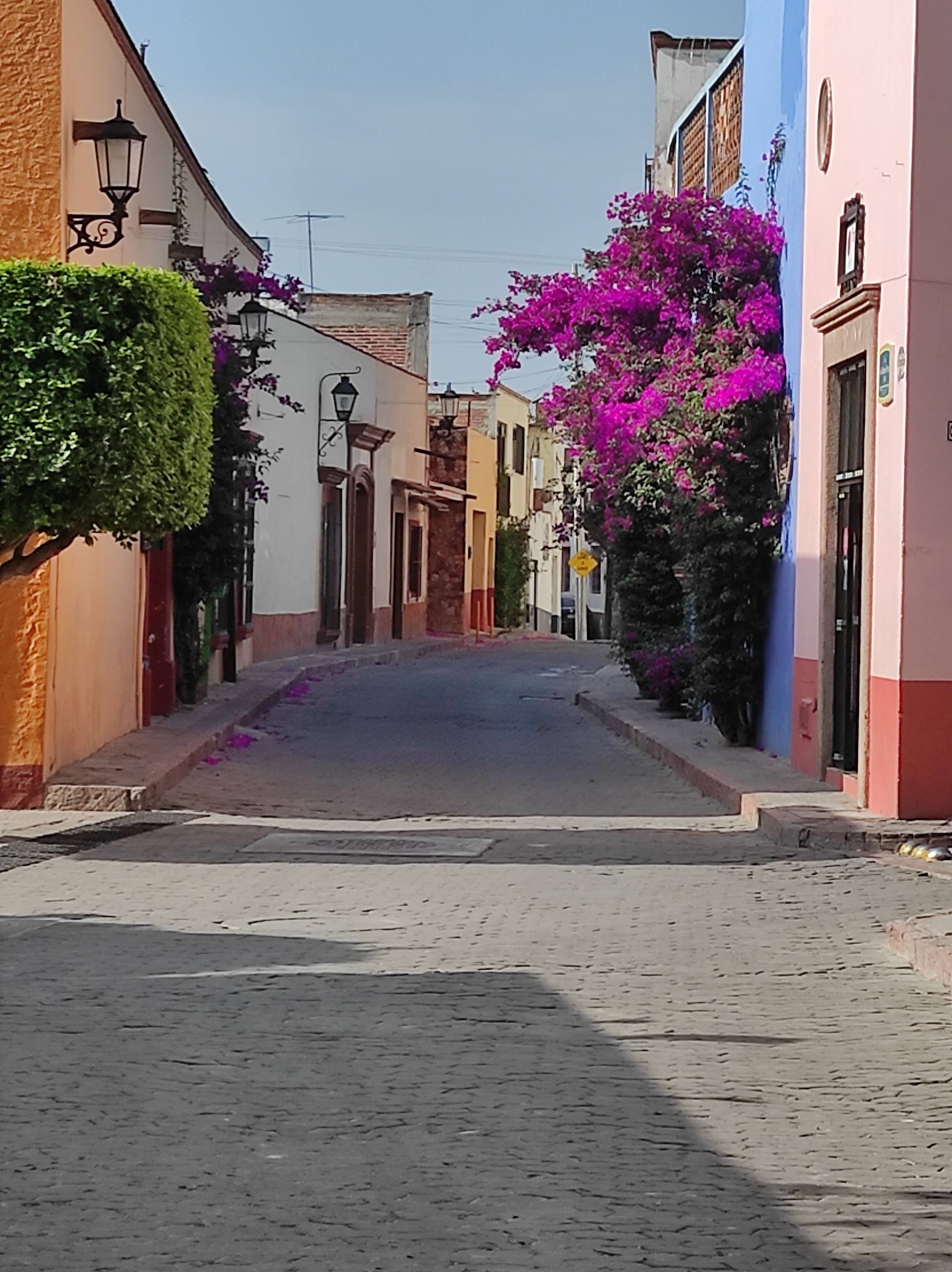 Restaurante Mary Carmen Grill image 6