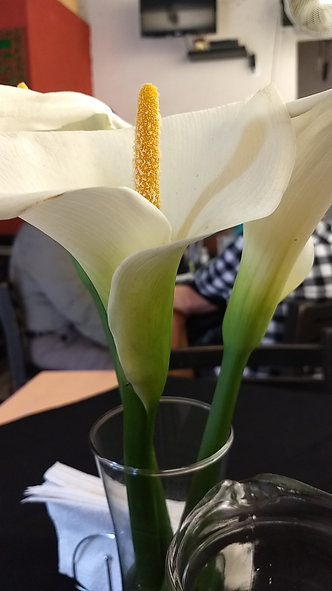 Restaurante Mary Carmen Grill image 8