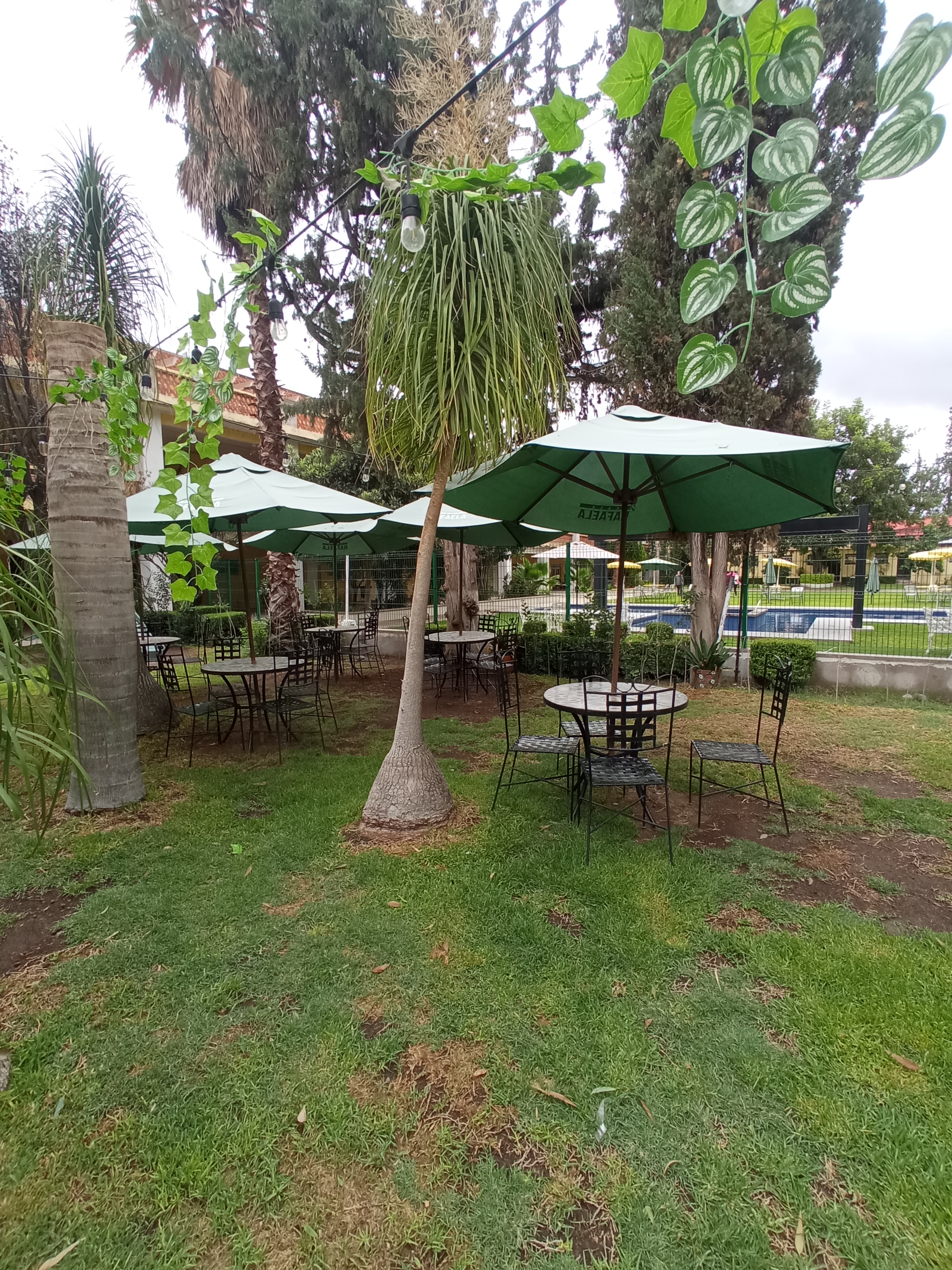 CASA RAFAELA image 4