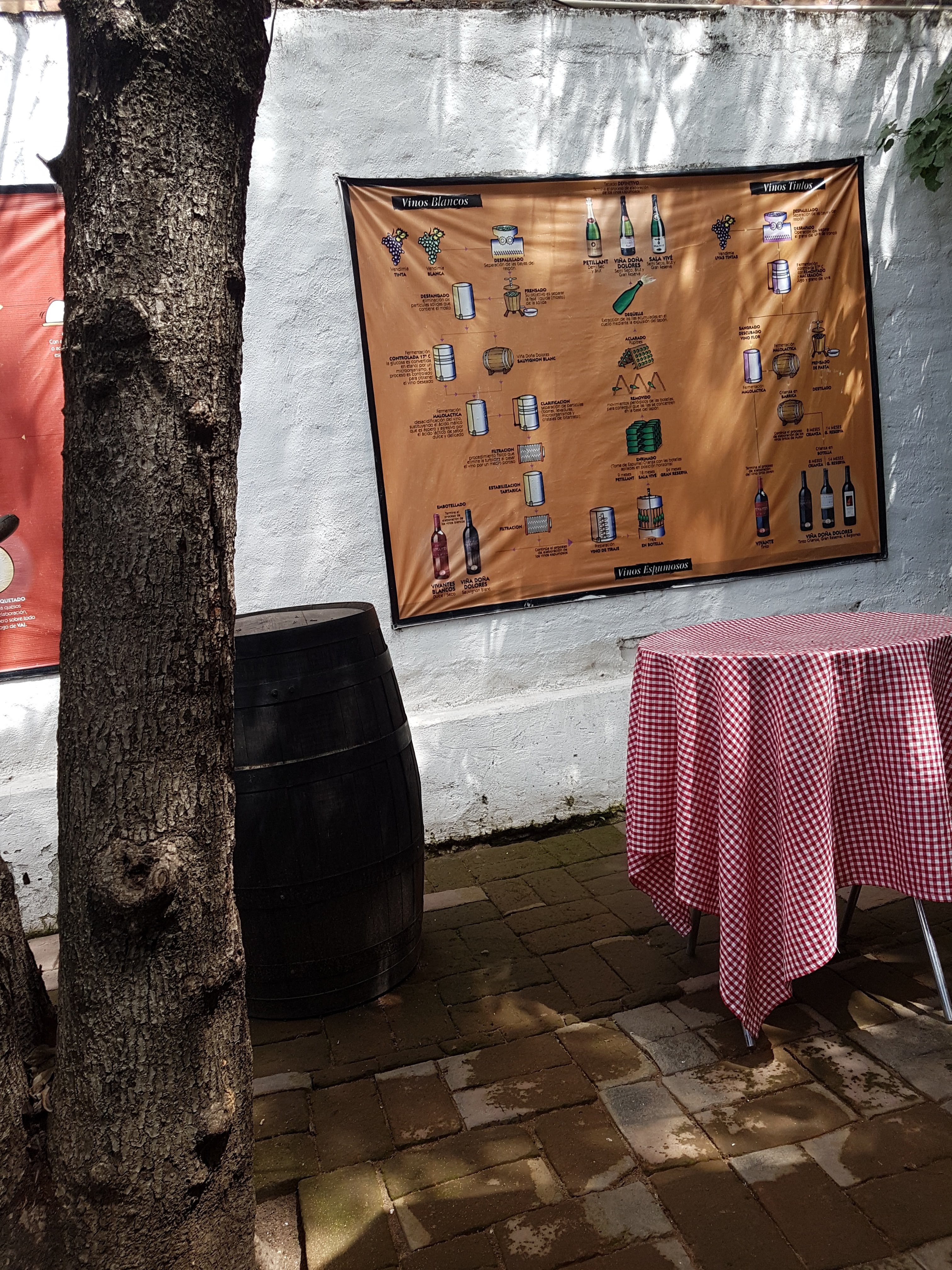 Museo del Queso y el Vino image 9