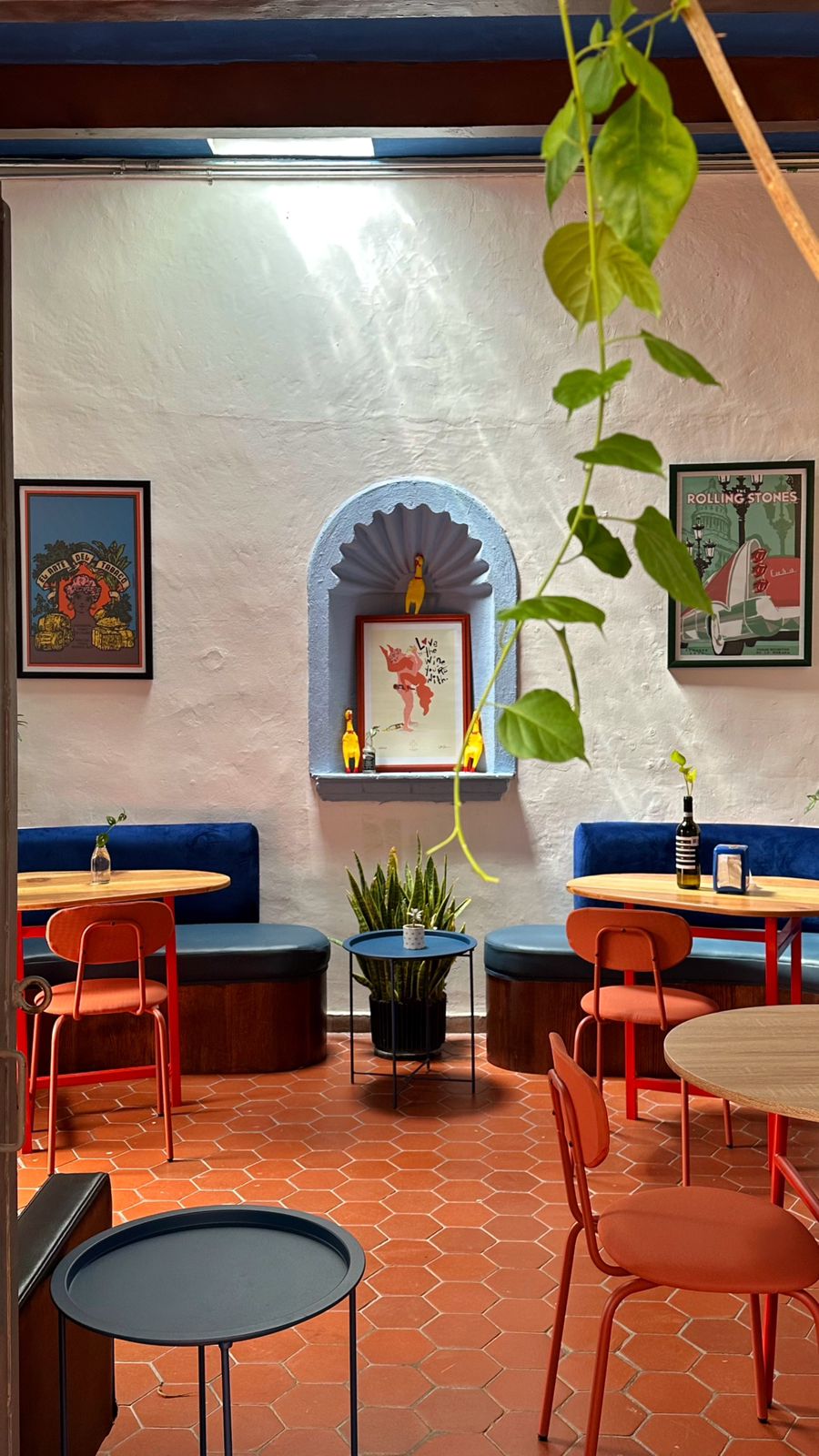 RRRONCOPOLLO TERRAZA BAR image 5