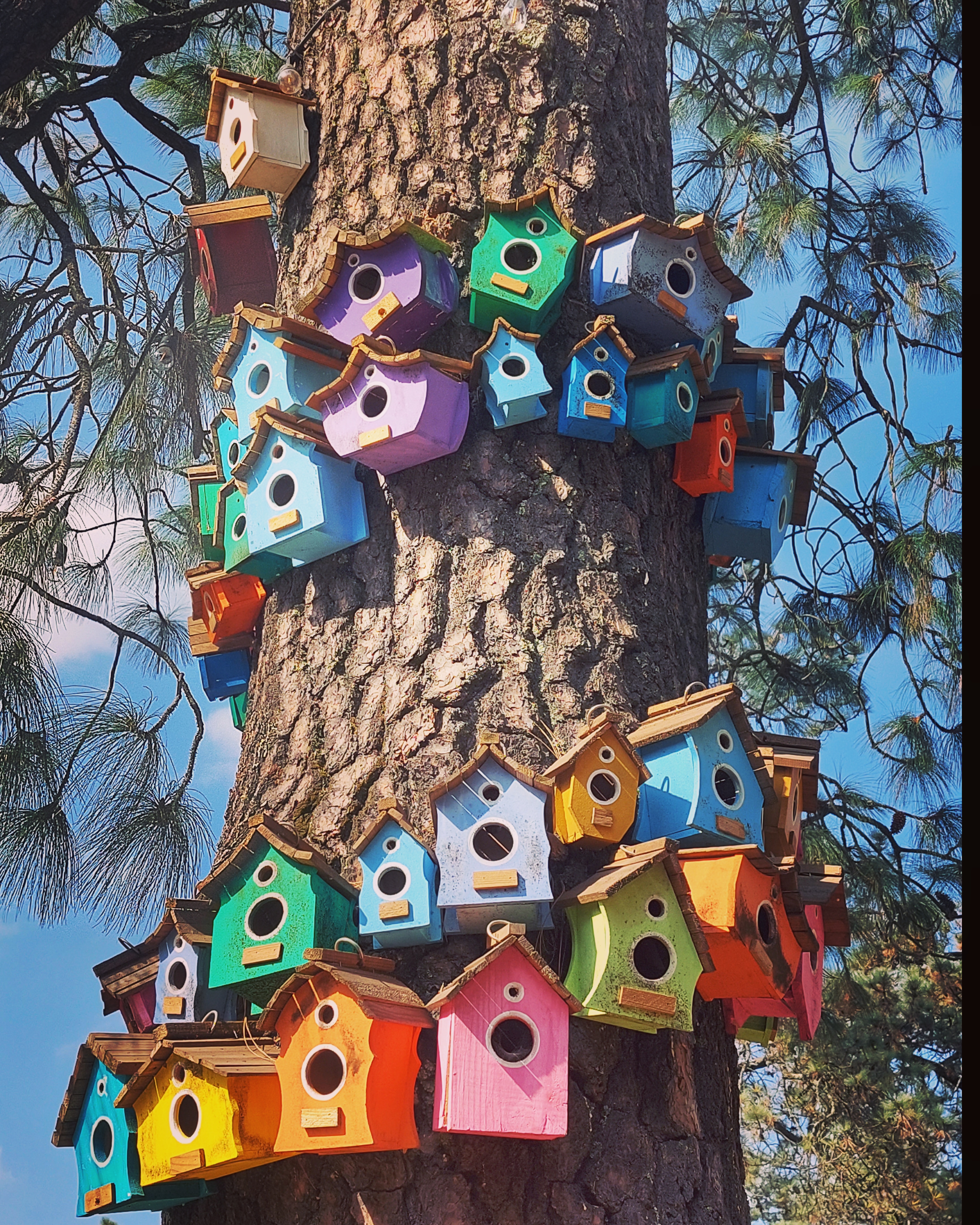 Santa Montaña image 9