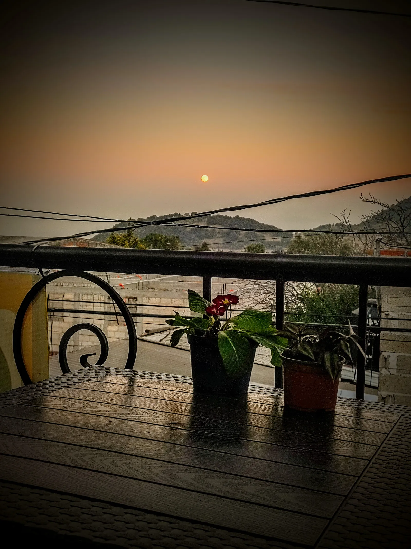 Los Chupis image 9