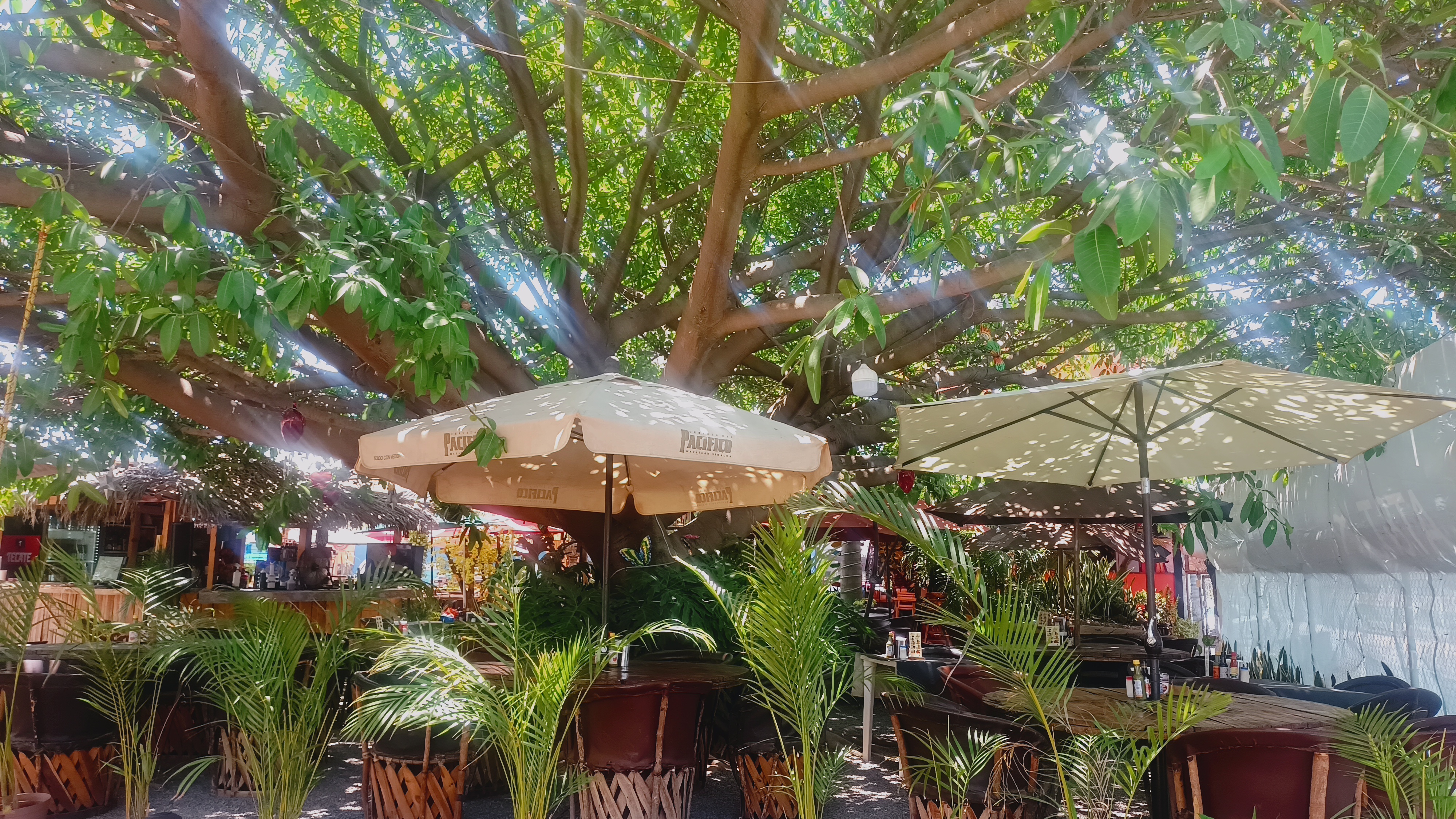 Mariscos Costa Del Rey image 6