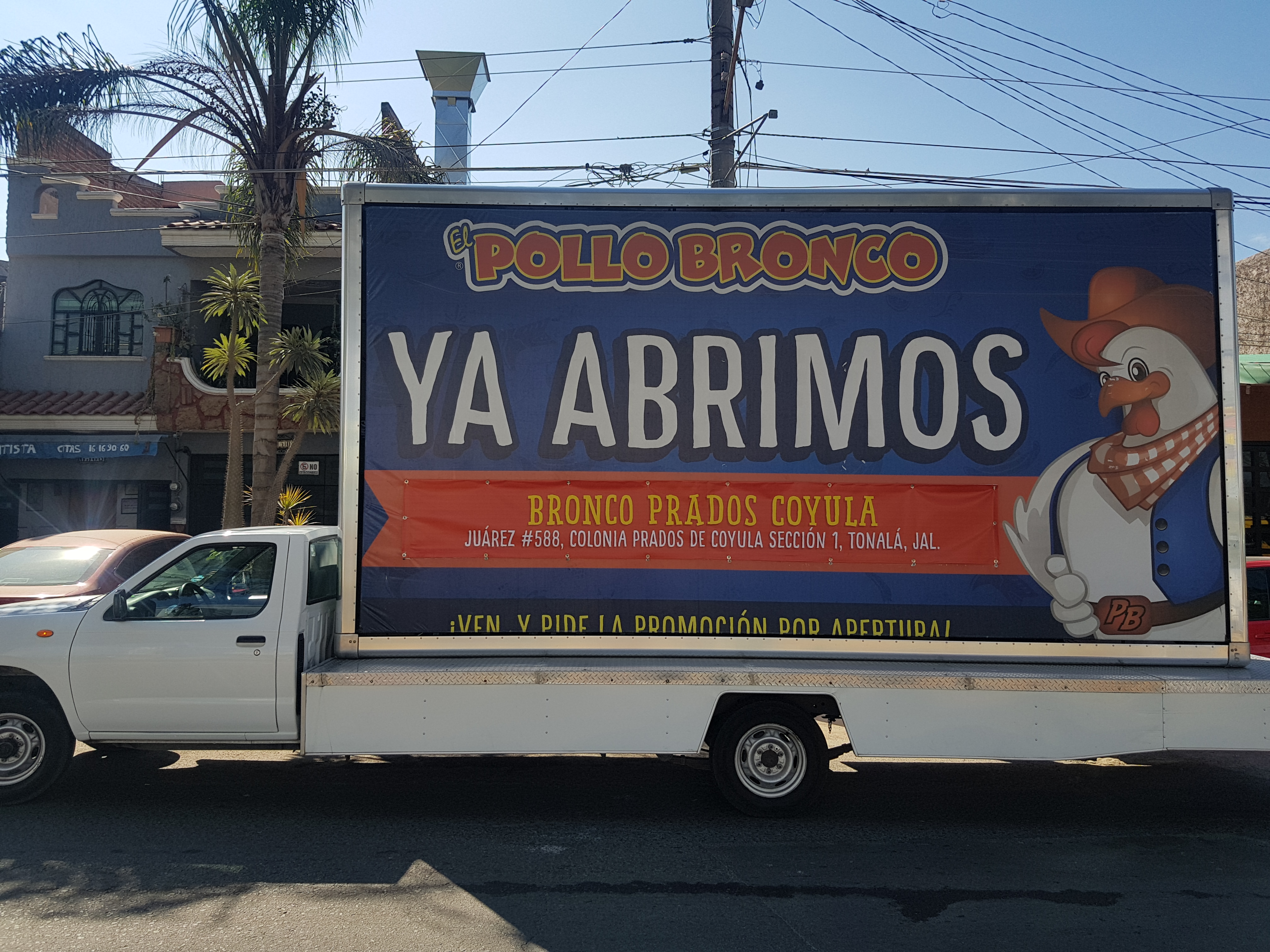 Pollo Bronco Prados Coyula image 6