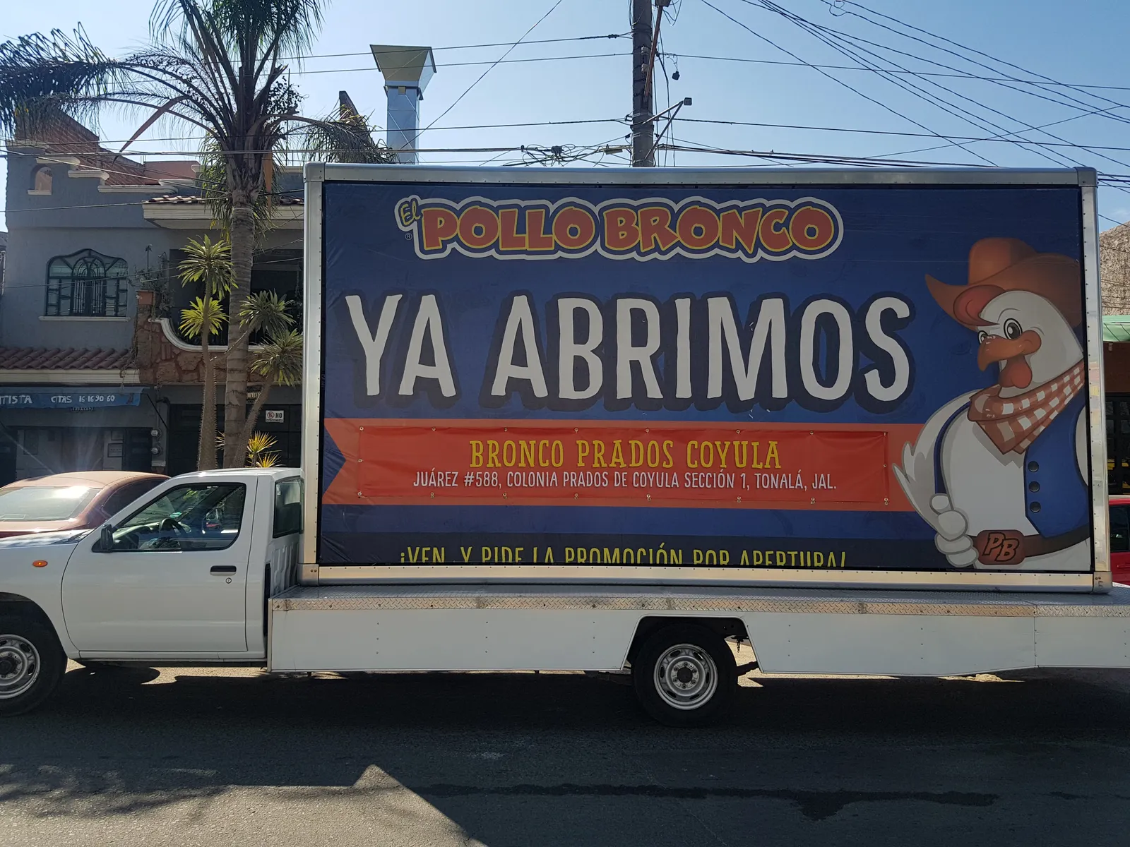 Pollo Bronco Prados Coyula image 6