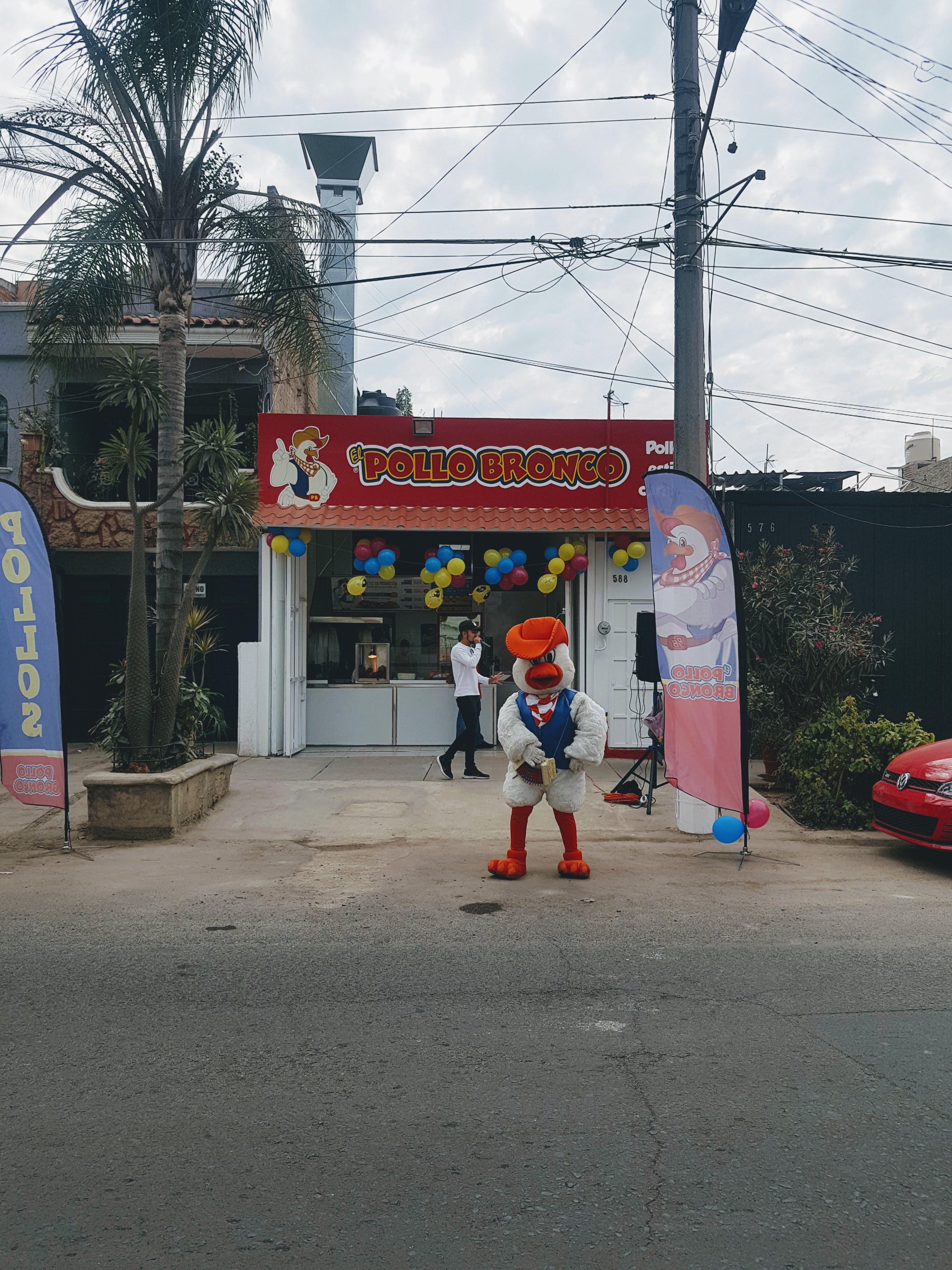 Pollo Bronco Prados Coyula image 7