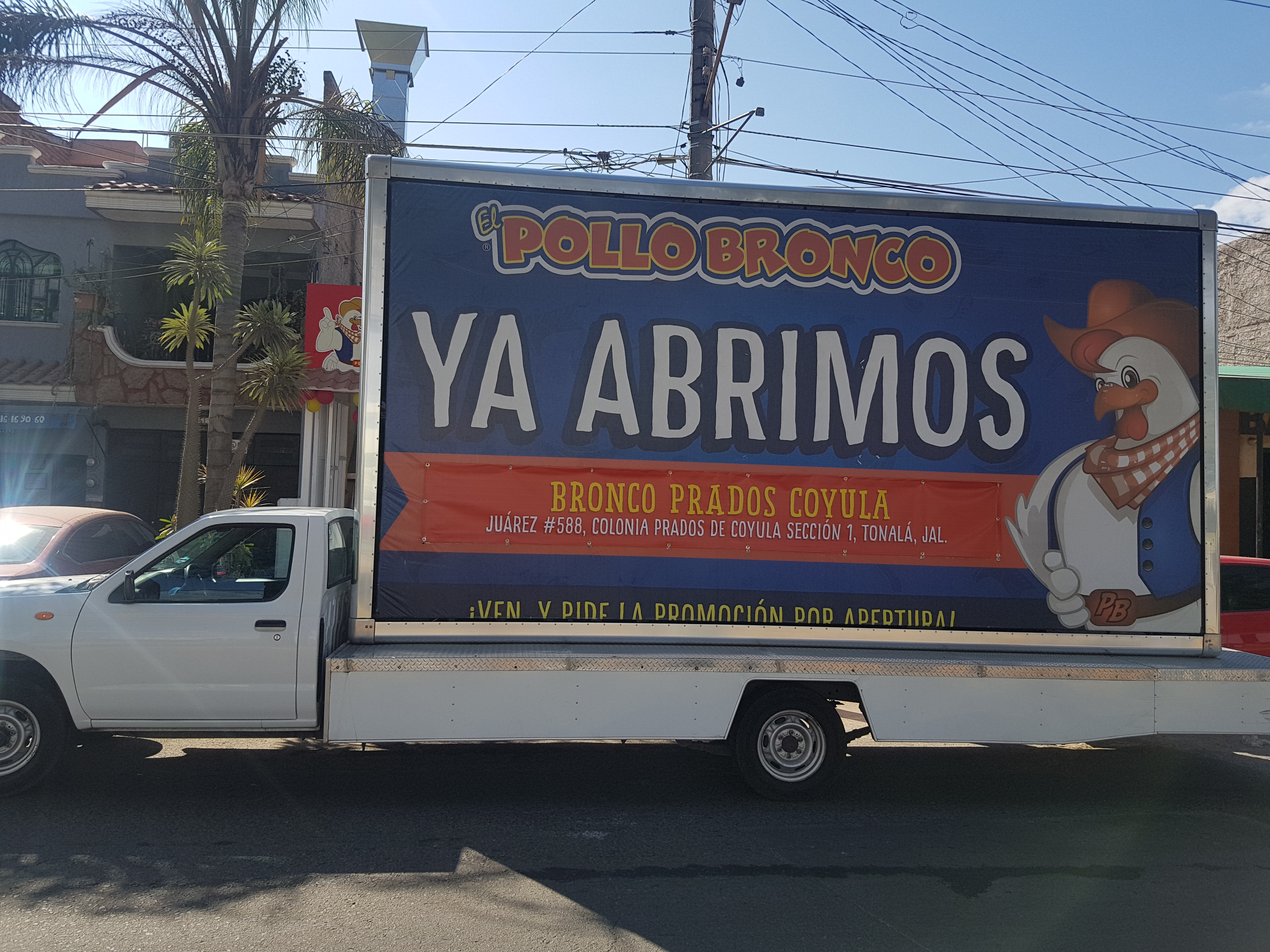 Pollo Bronco Prados Coyula image 8