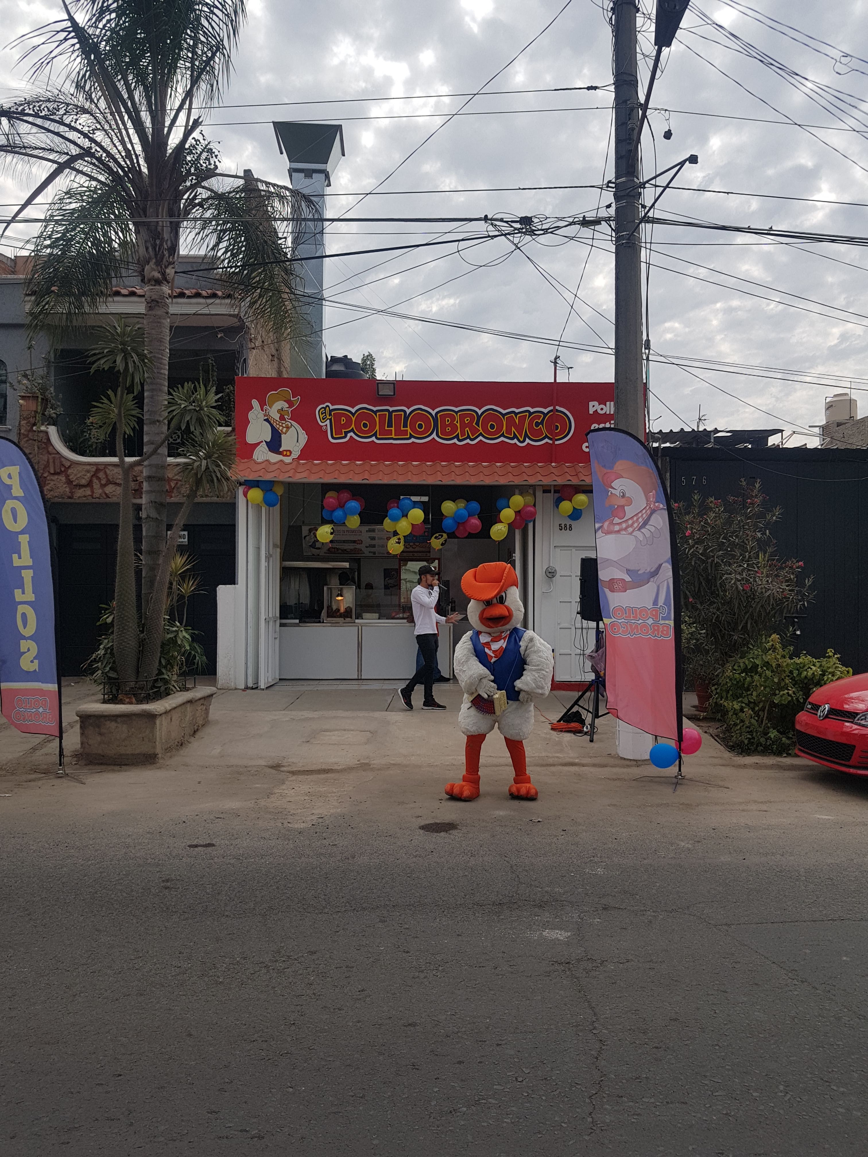 Pollo Bronco Prados Coyula image 9