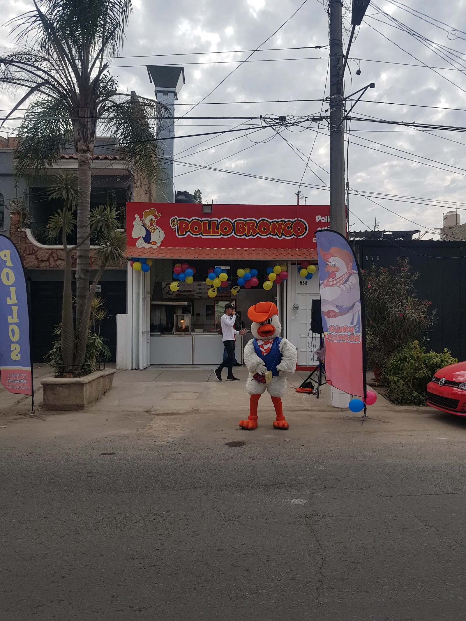 Pollo Bronco Prados Coyula image 9