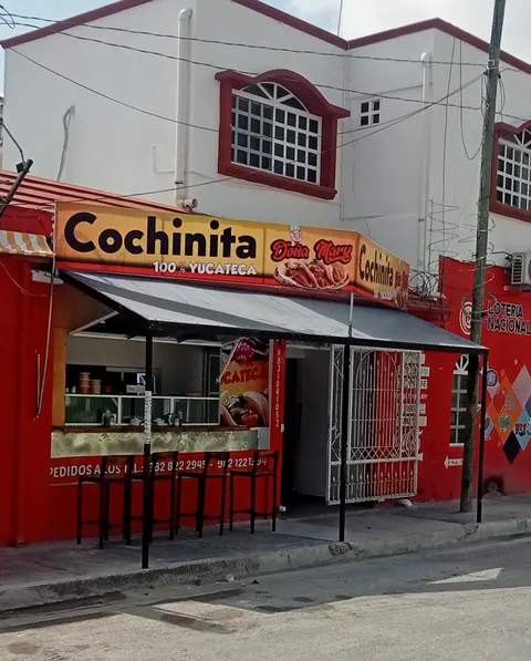 Cochinita doña mary image 1