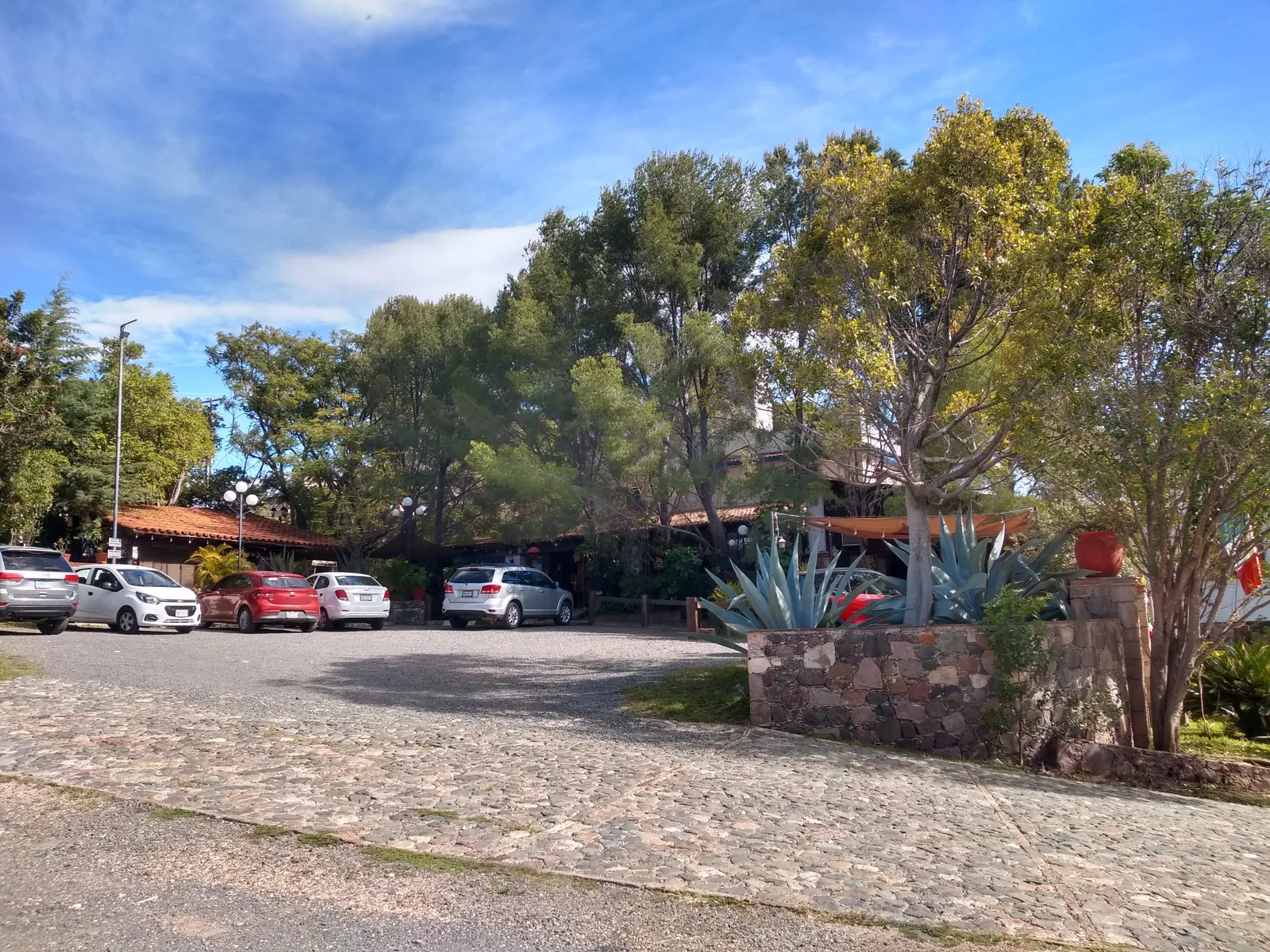Campo Viejo image 6