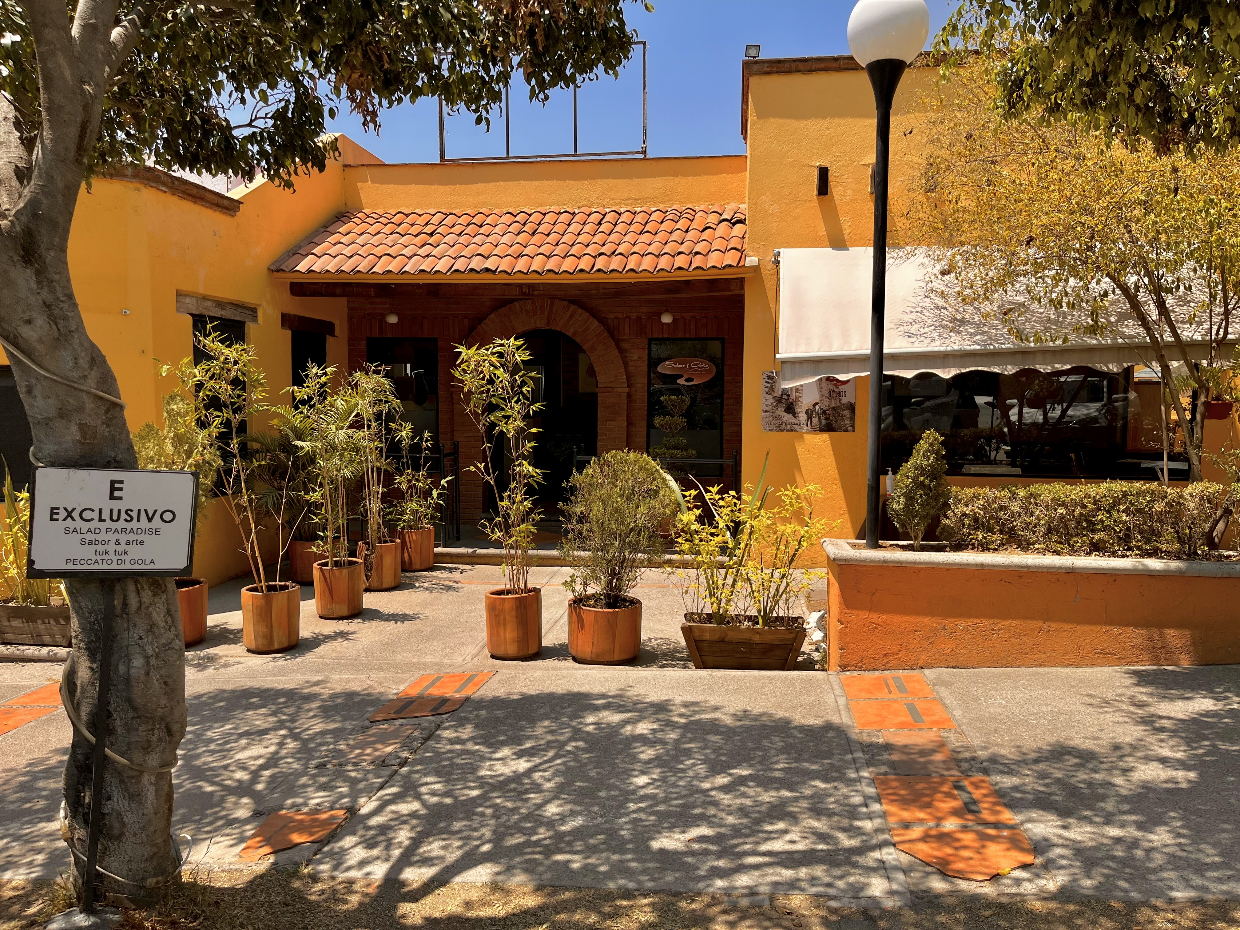 Sabor & Arte image 5