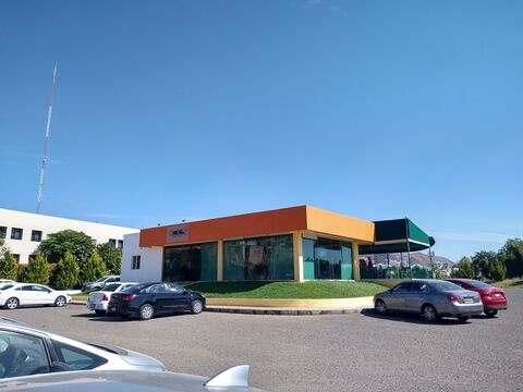 Ukul cafe image 4