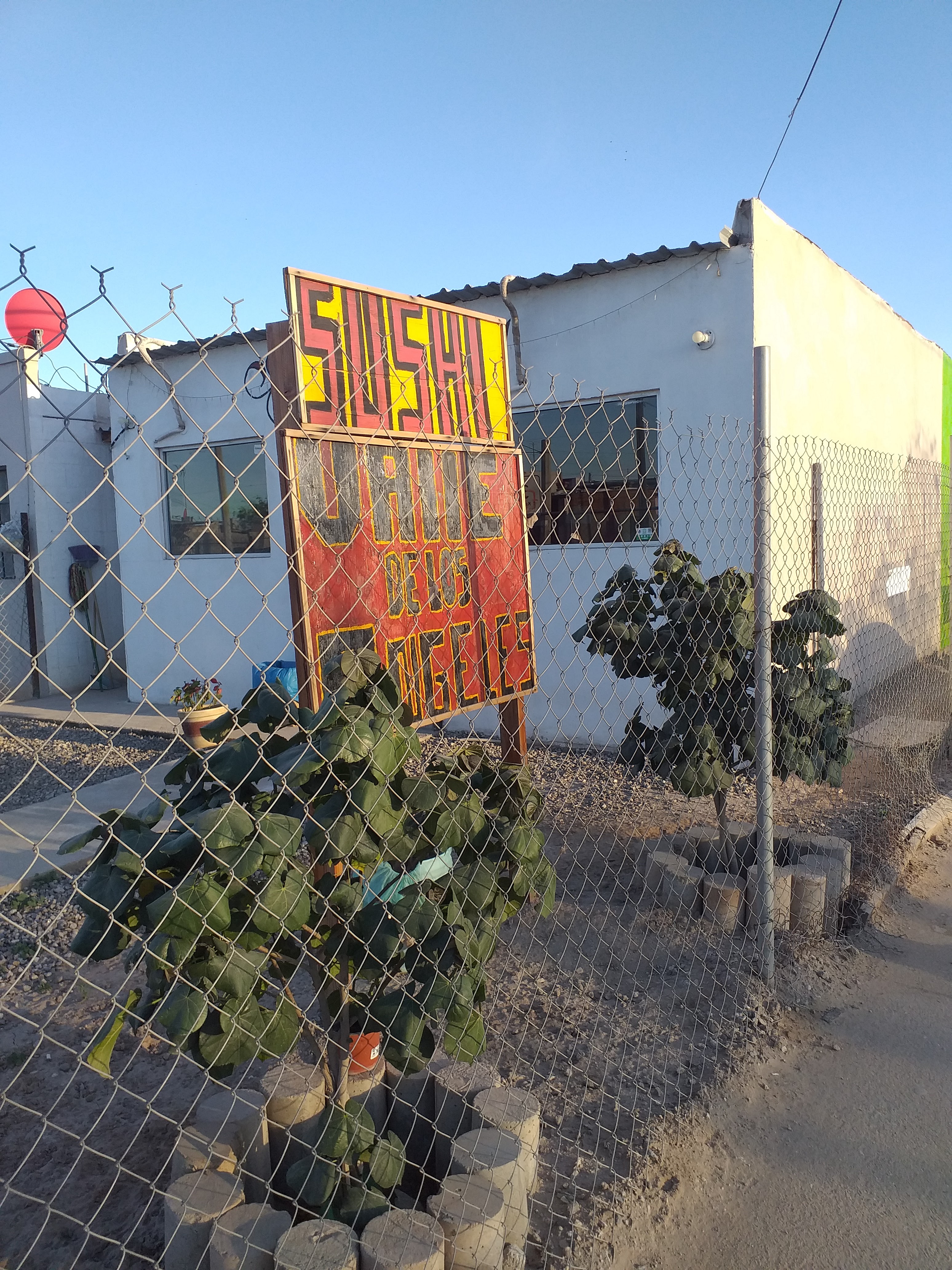 Sushi valle de los angeles image 5