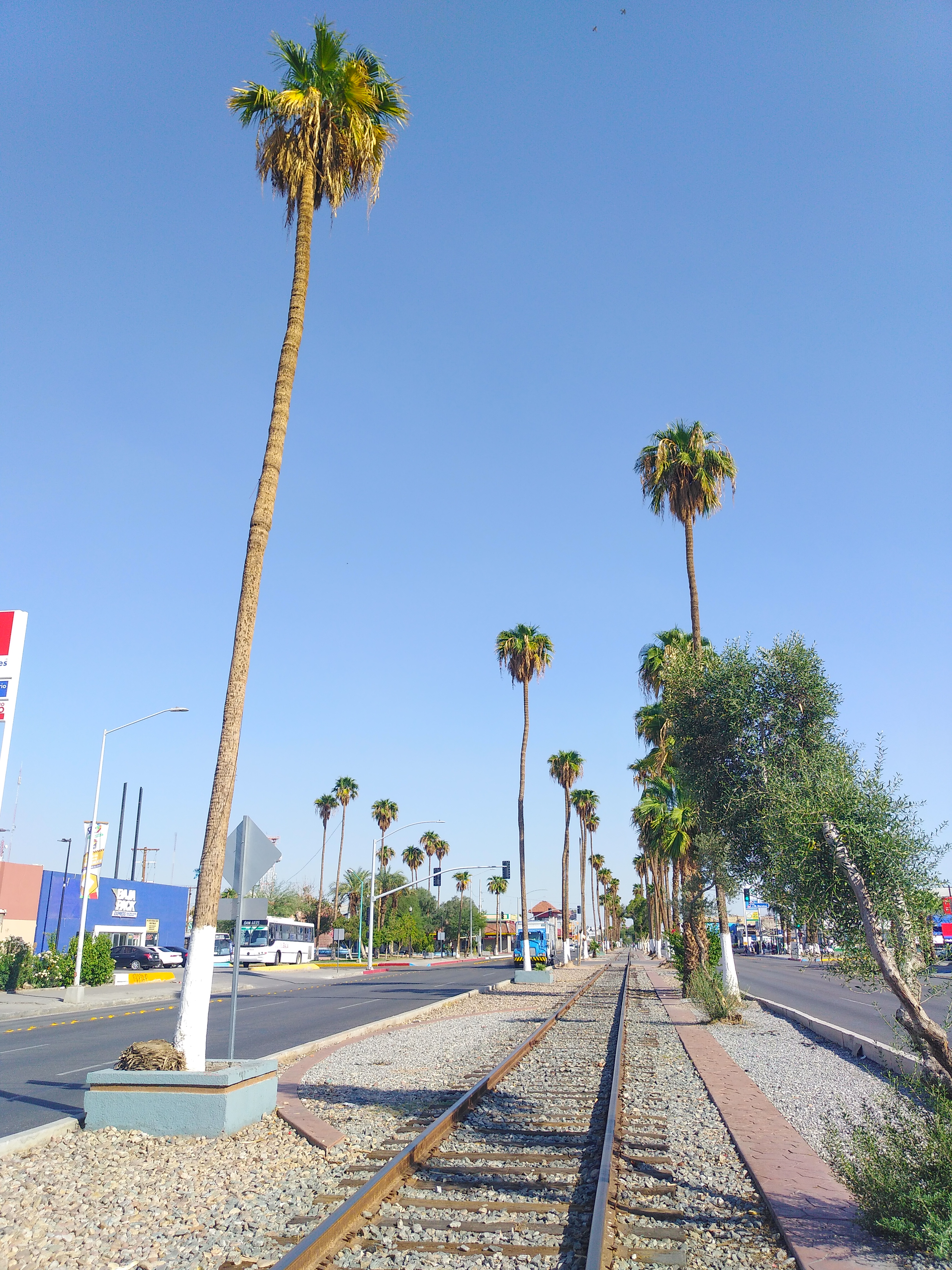 Restaurante Carmelita image 9