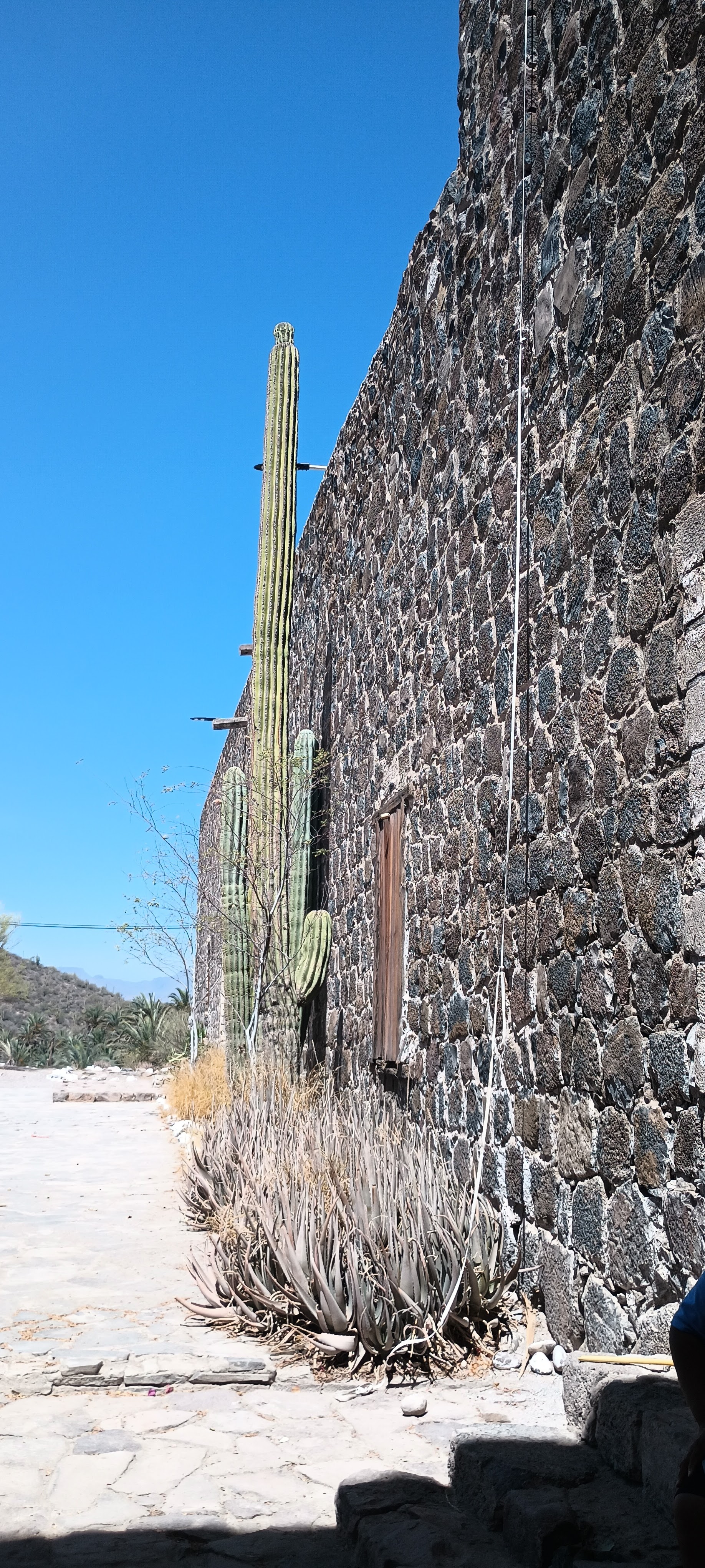 Restaurante Buendia image 5