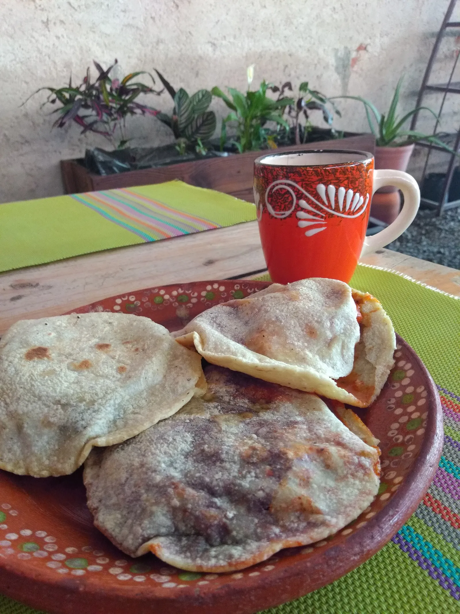 Raíces image 9