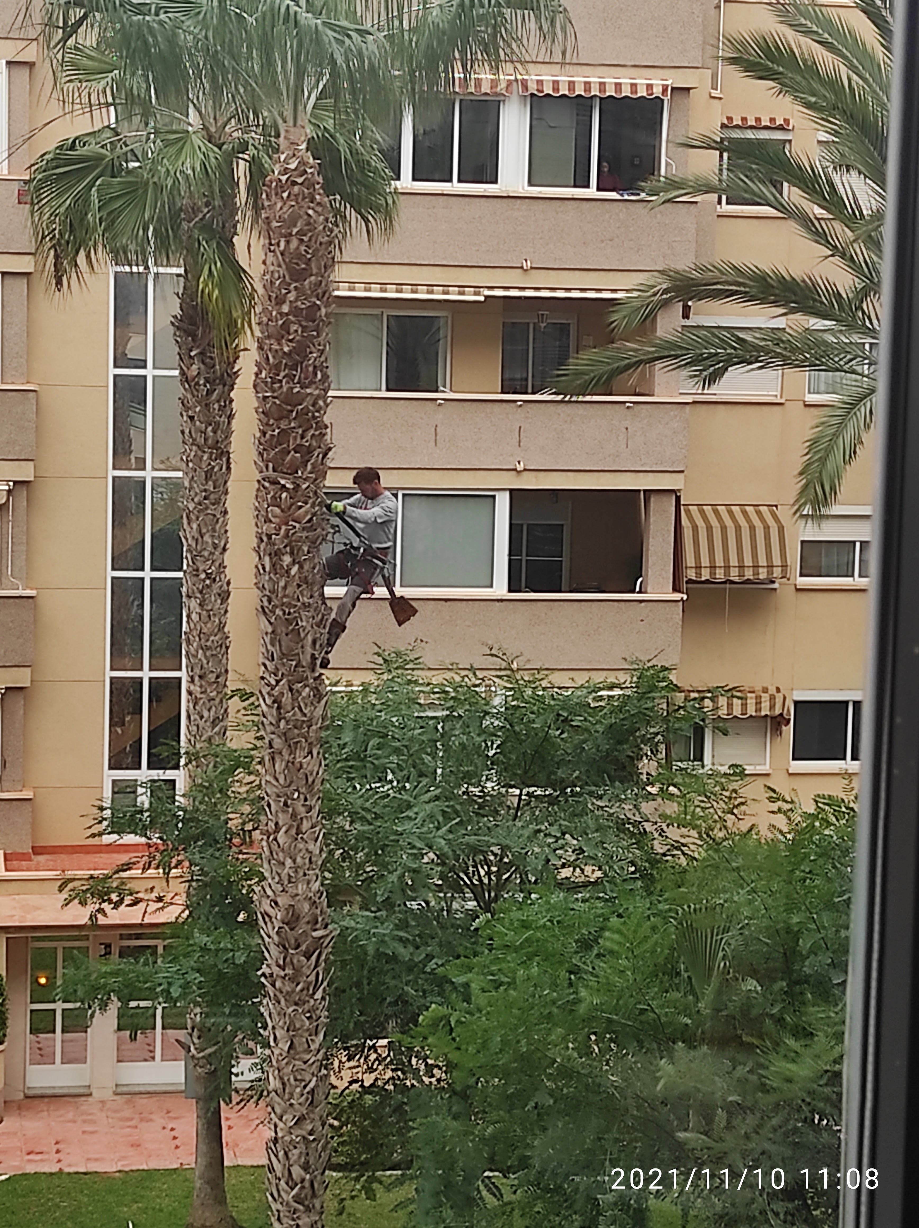 Desde Mi Cocina image 2