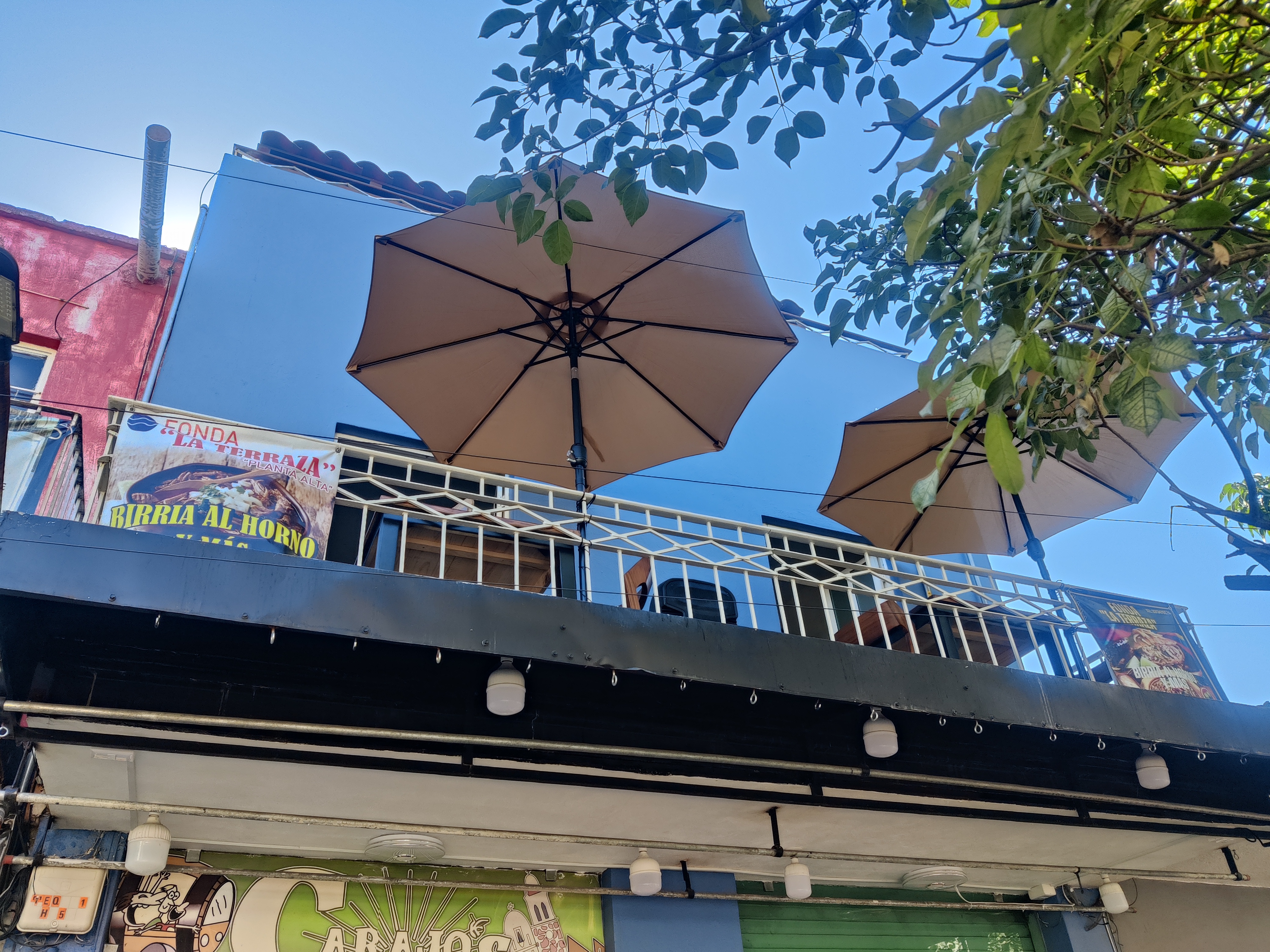 "Terraza Agave Azul" Restaurante Bar. image 1