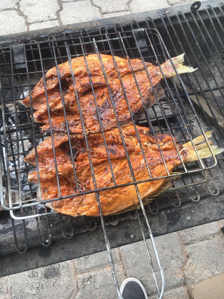 El Barco de Noe image 9