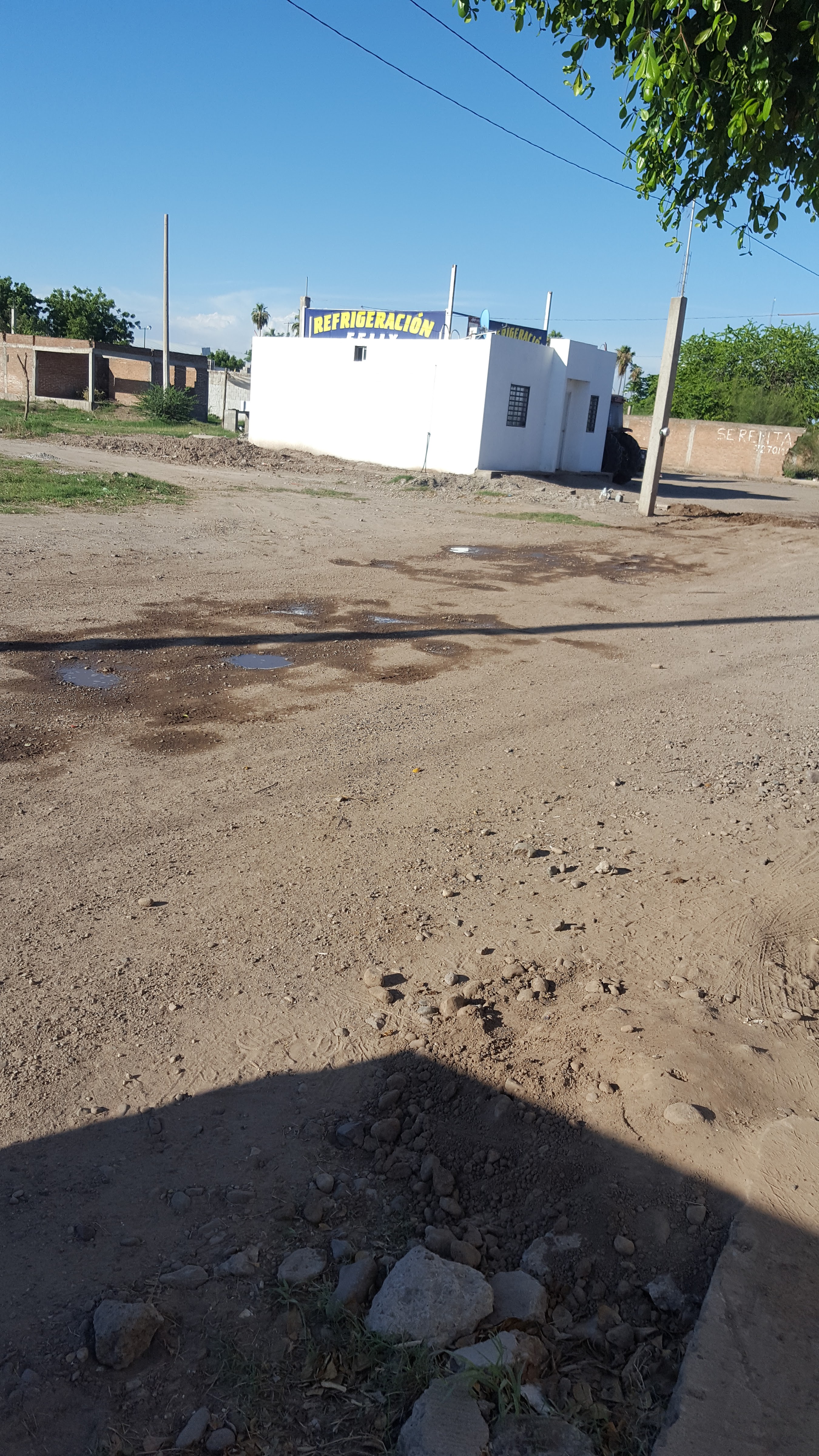 Mariscos Las Palmas image 7