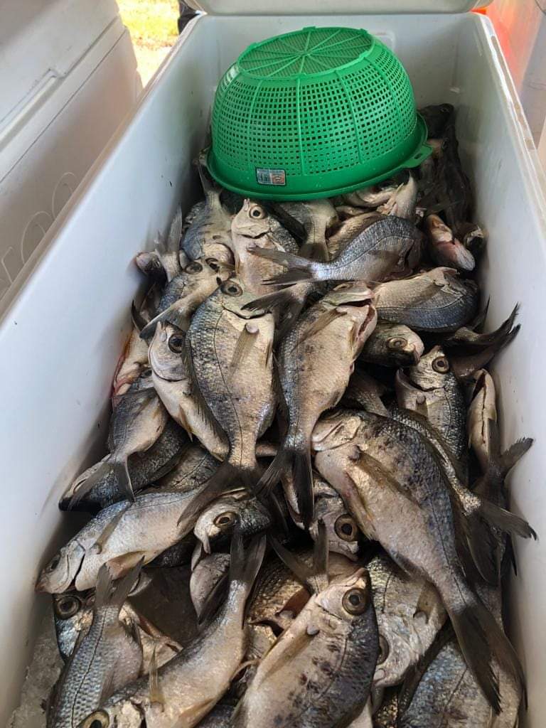 MARISCOS MORALES image 3