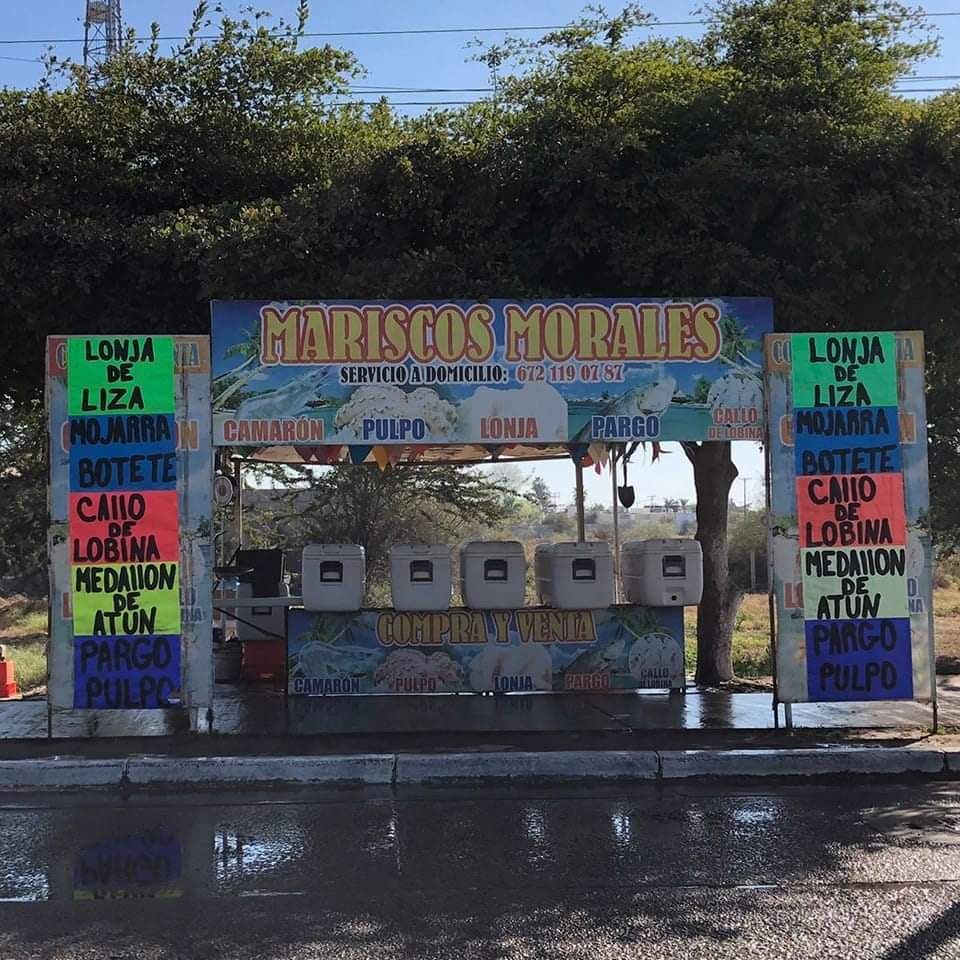 MARISCOS MORALES image 6