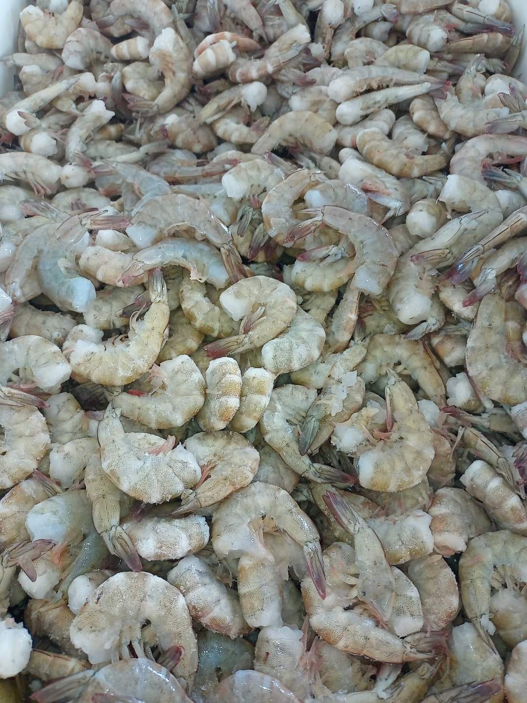 MARISCOS MORALES image 7