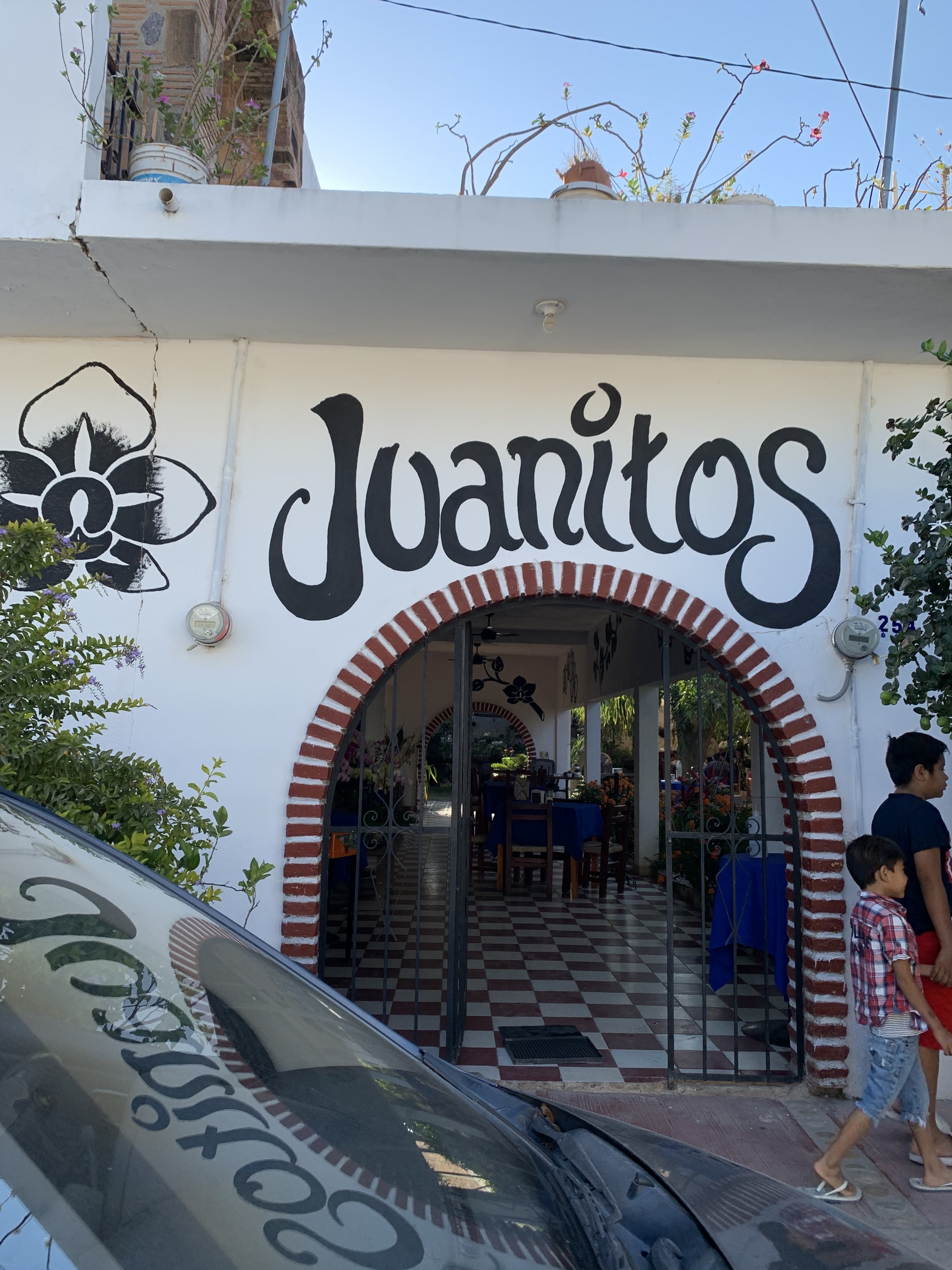 La casa de las orquideas image 1