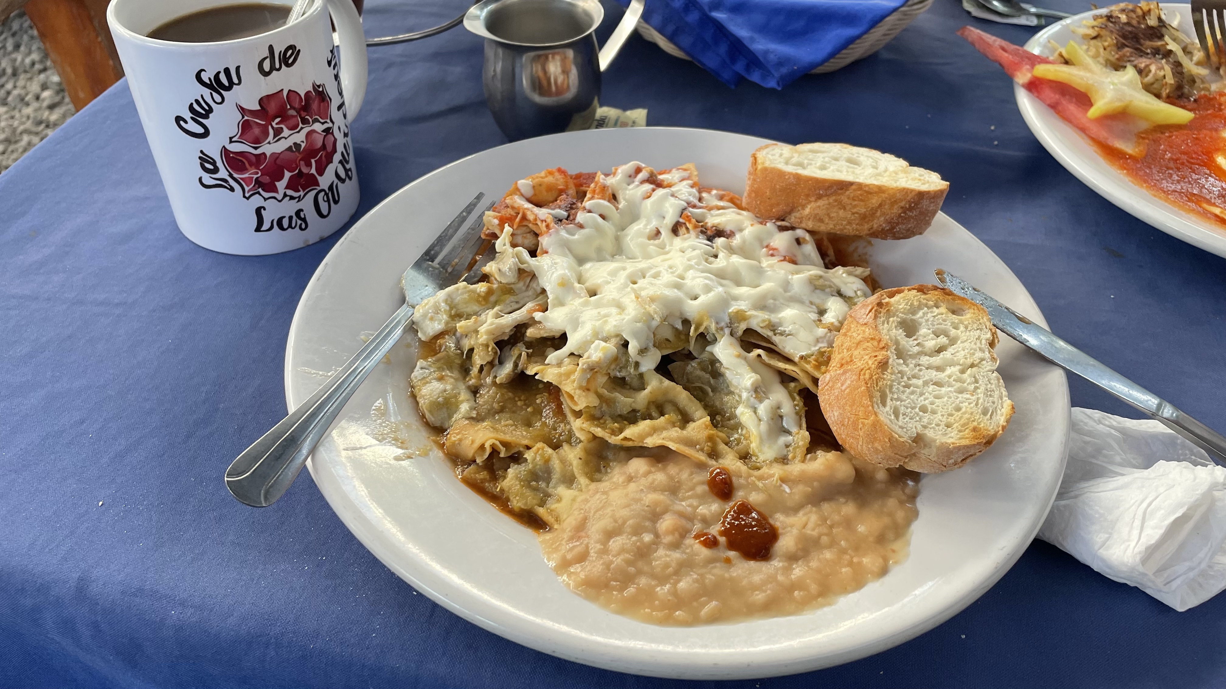 La casa de las orquideas image 4