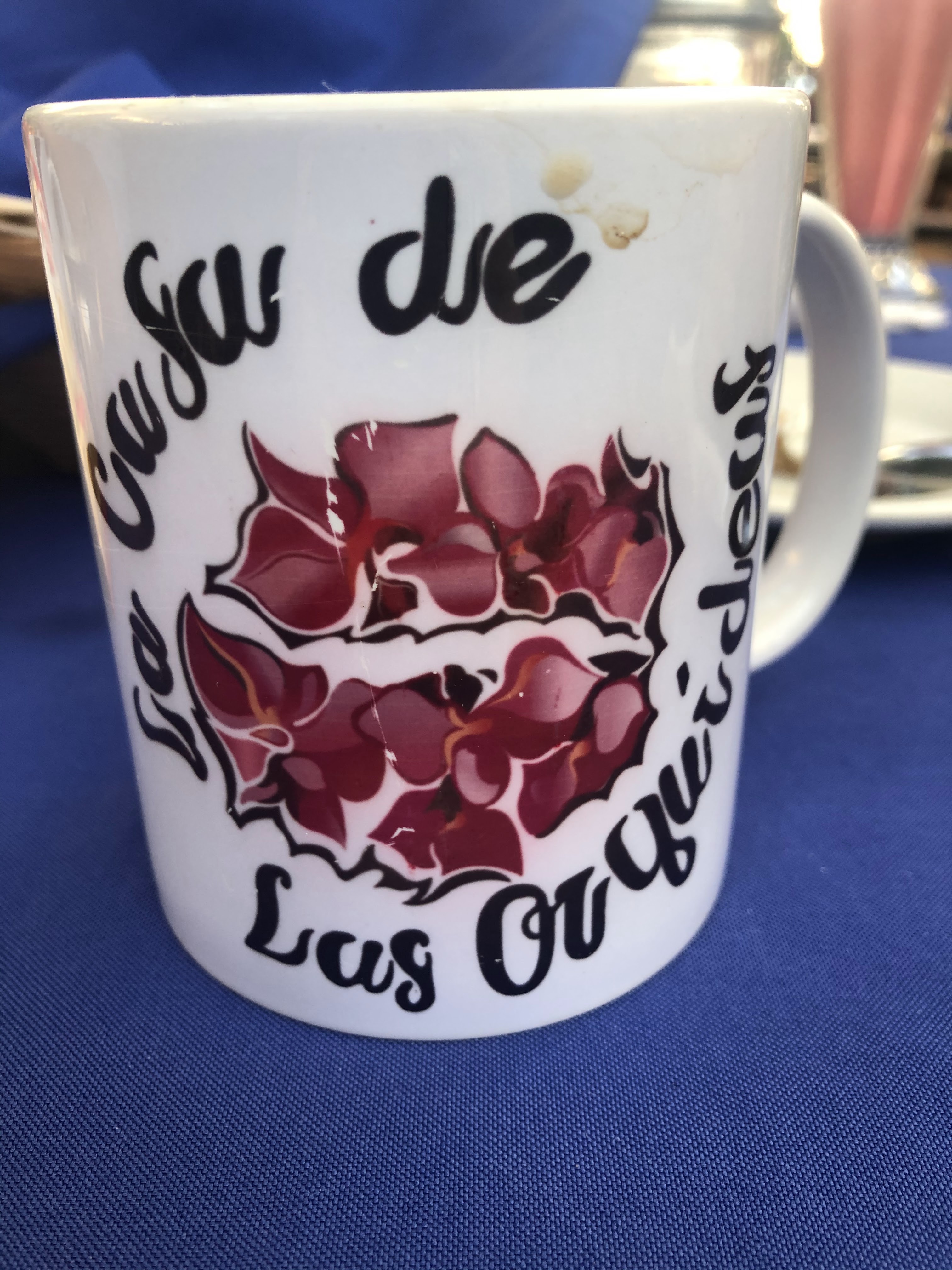 La casa de las orquideas image 10