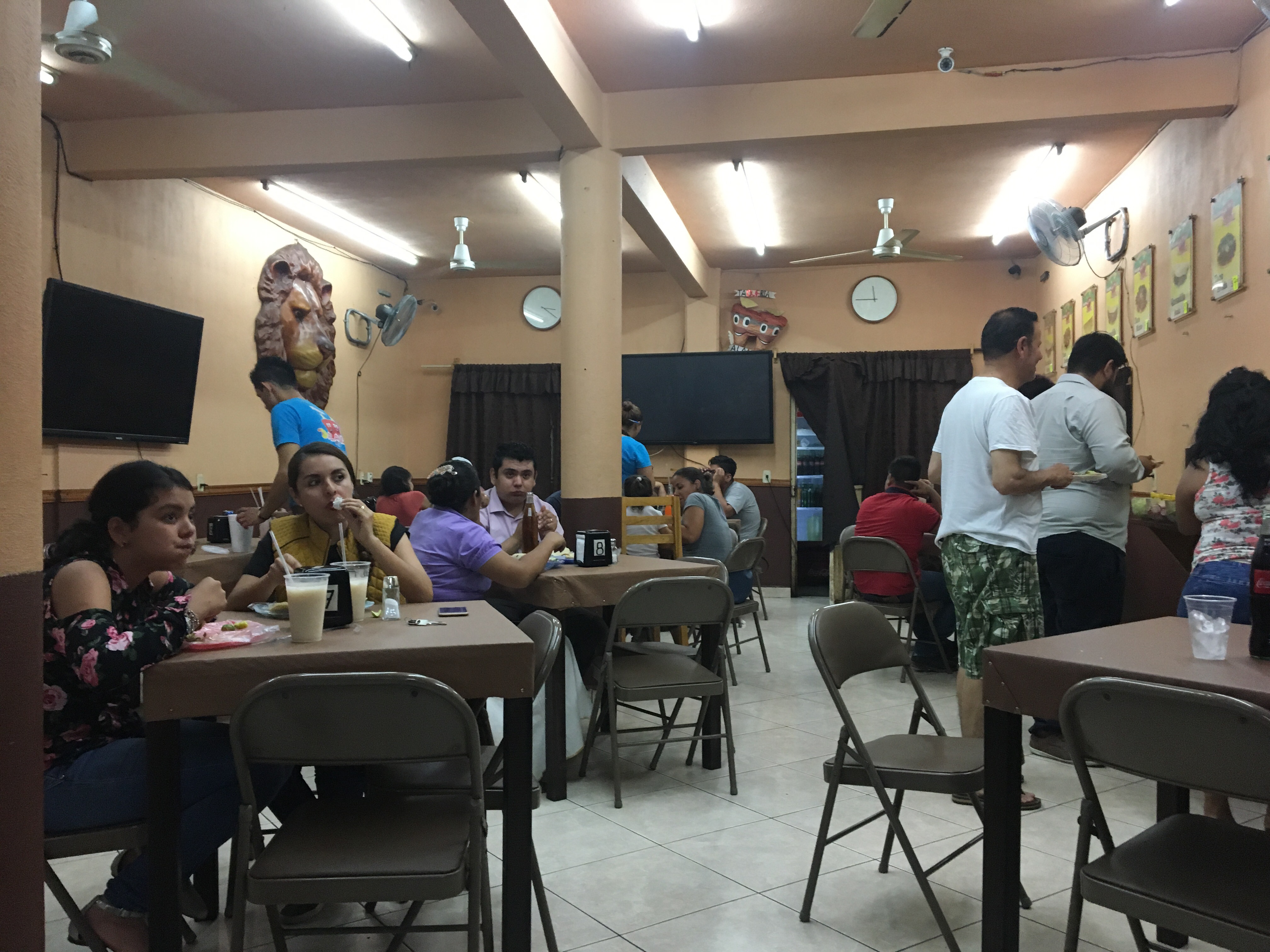 Taqueria Alaniz image 2