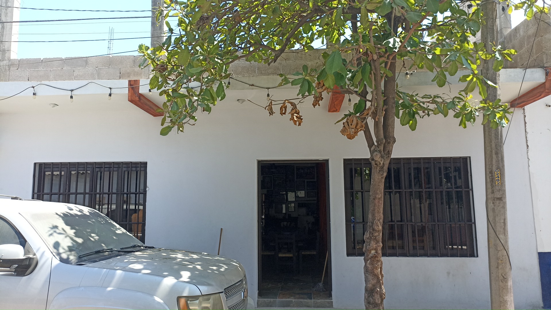 Rustic Pizza image 2