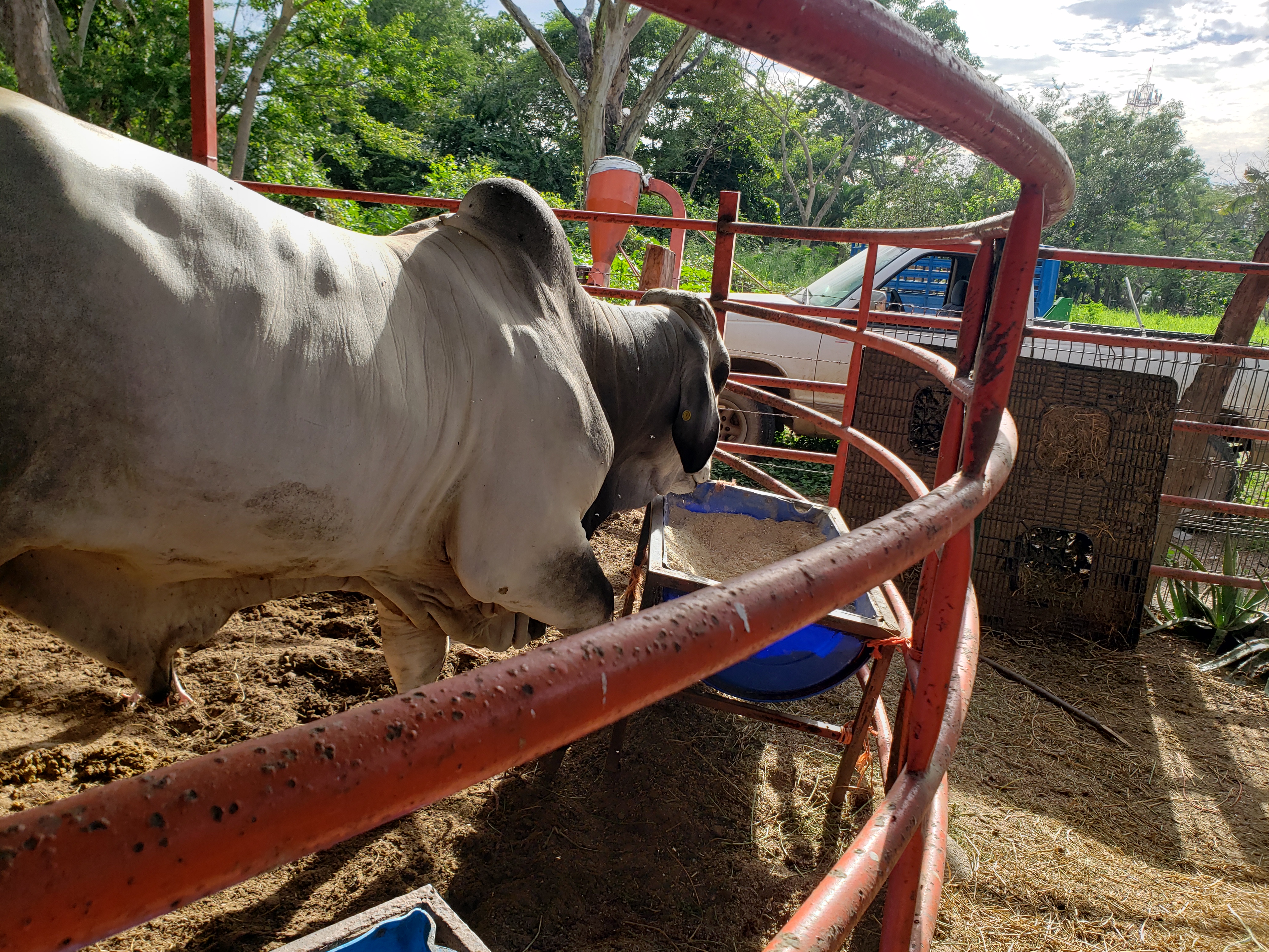 Restaurant Las Cazuelas image 8