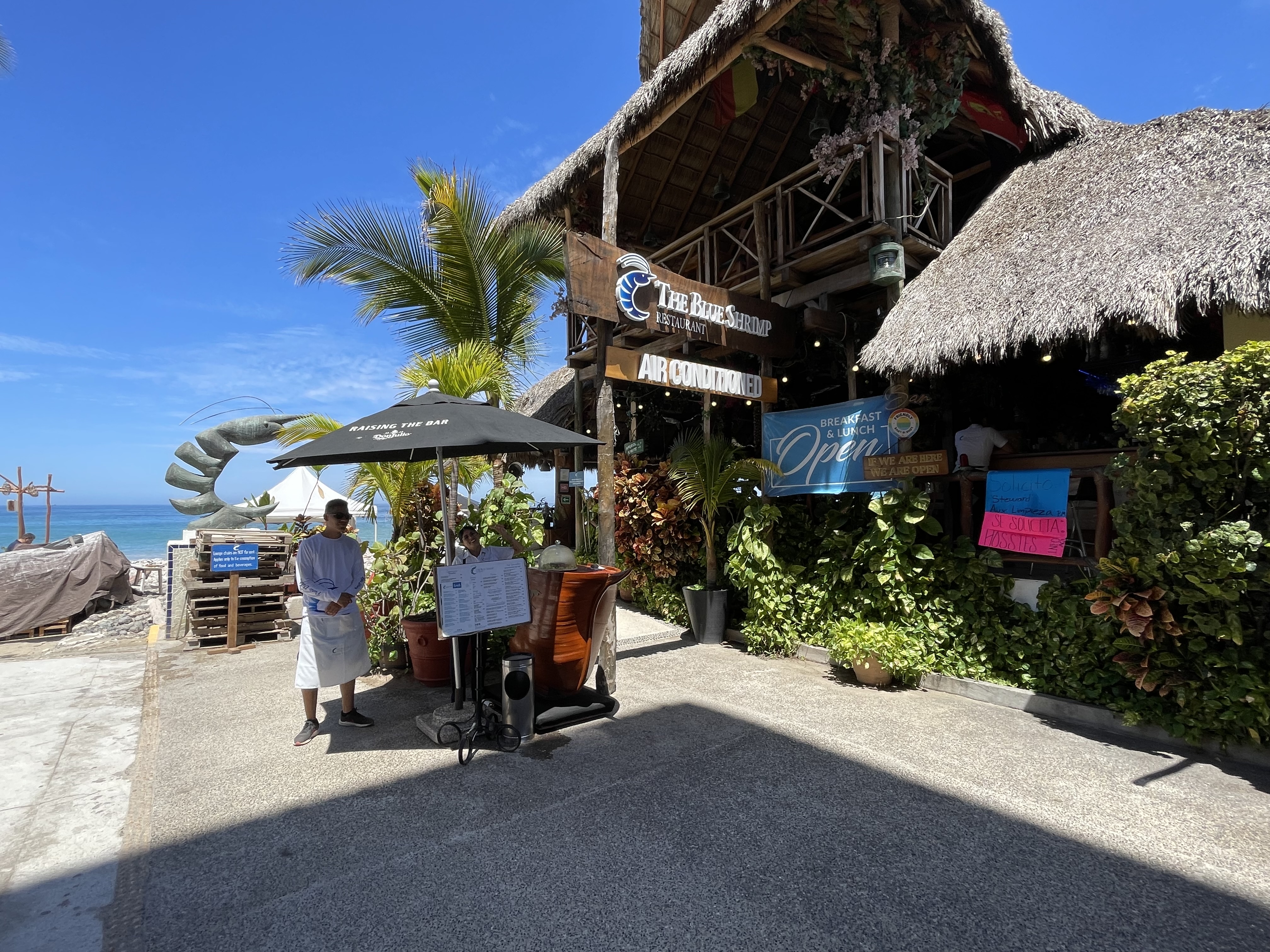 The Blue Shrimp Puerto Vallarta image 8