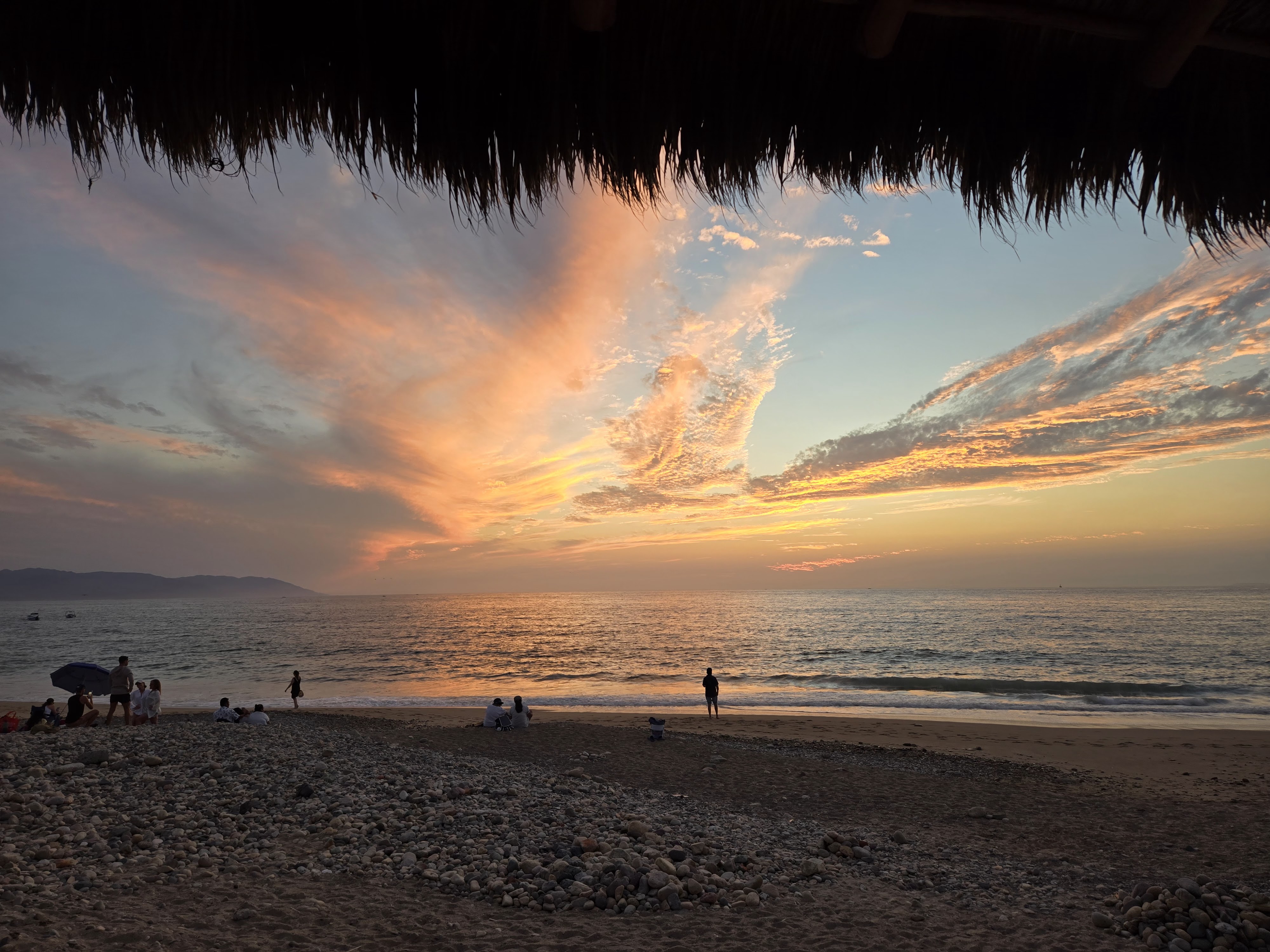 The Blue Shrimp Puerto Vallarta image 9