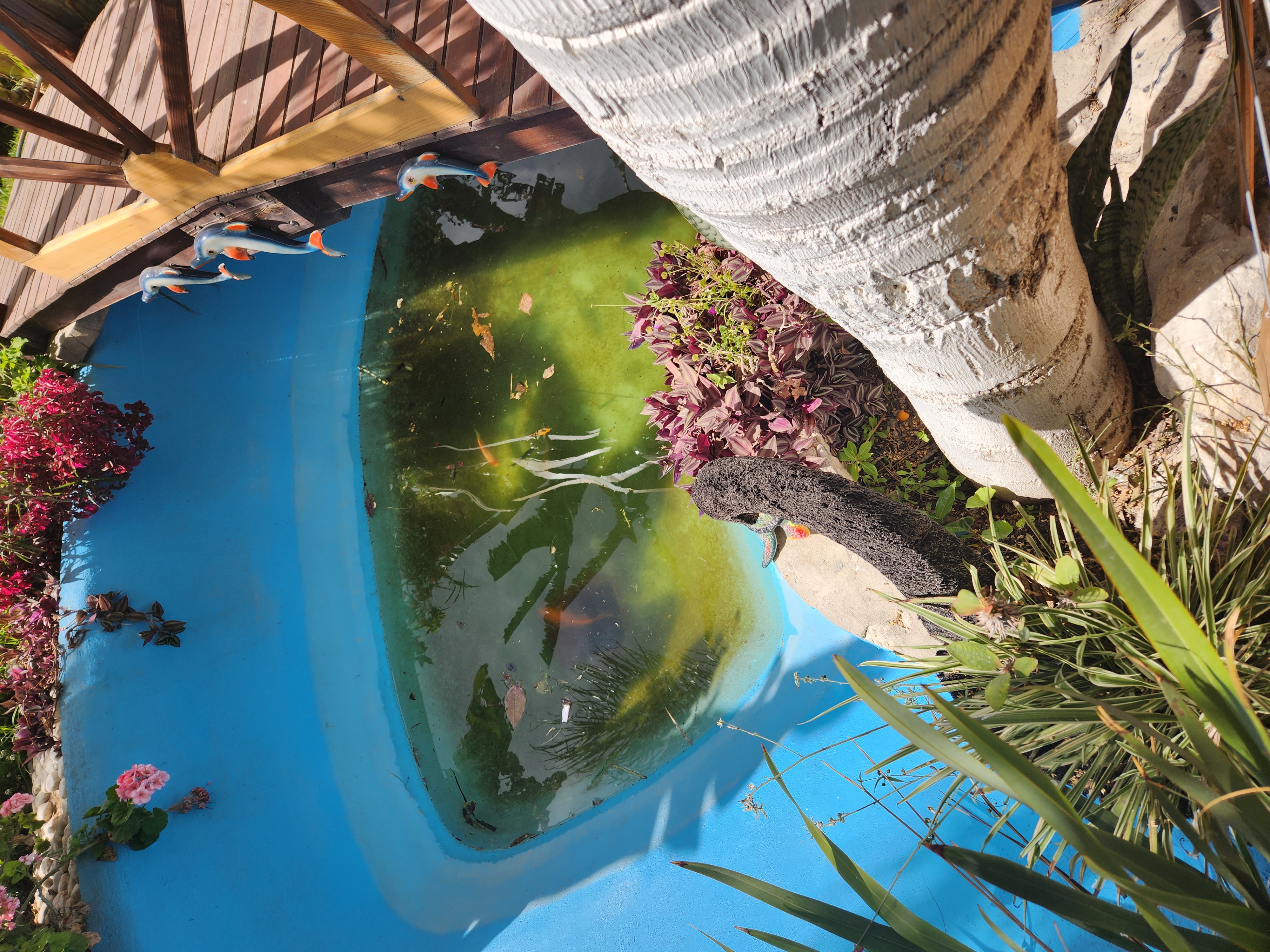 Marisqueria Puerto Beristain image 7