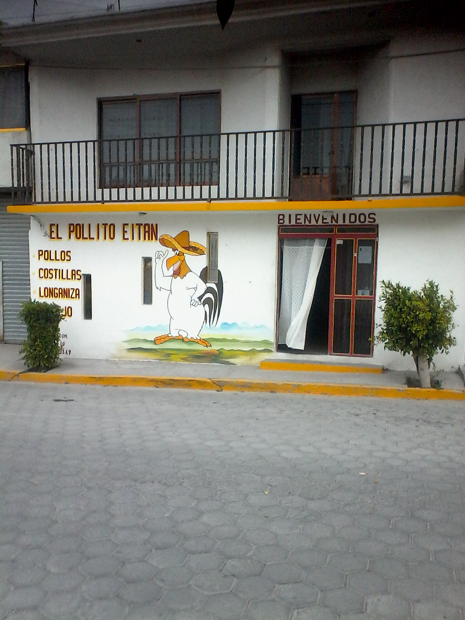 El Pollito Eitan image 3