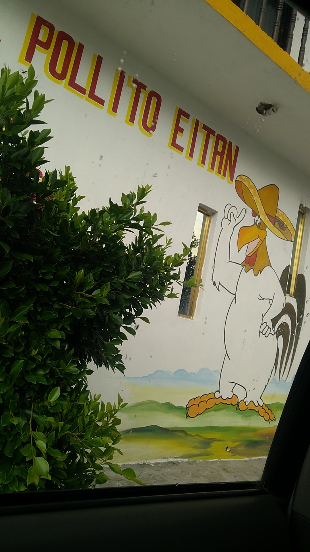 El Pollito Eitan image 5