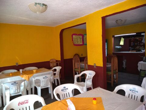 El Pollito Eitan image 8