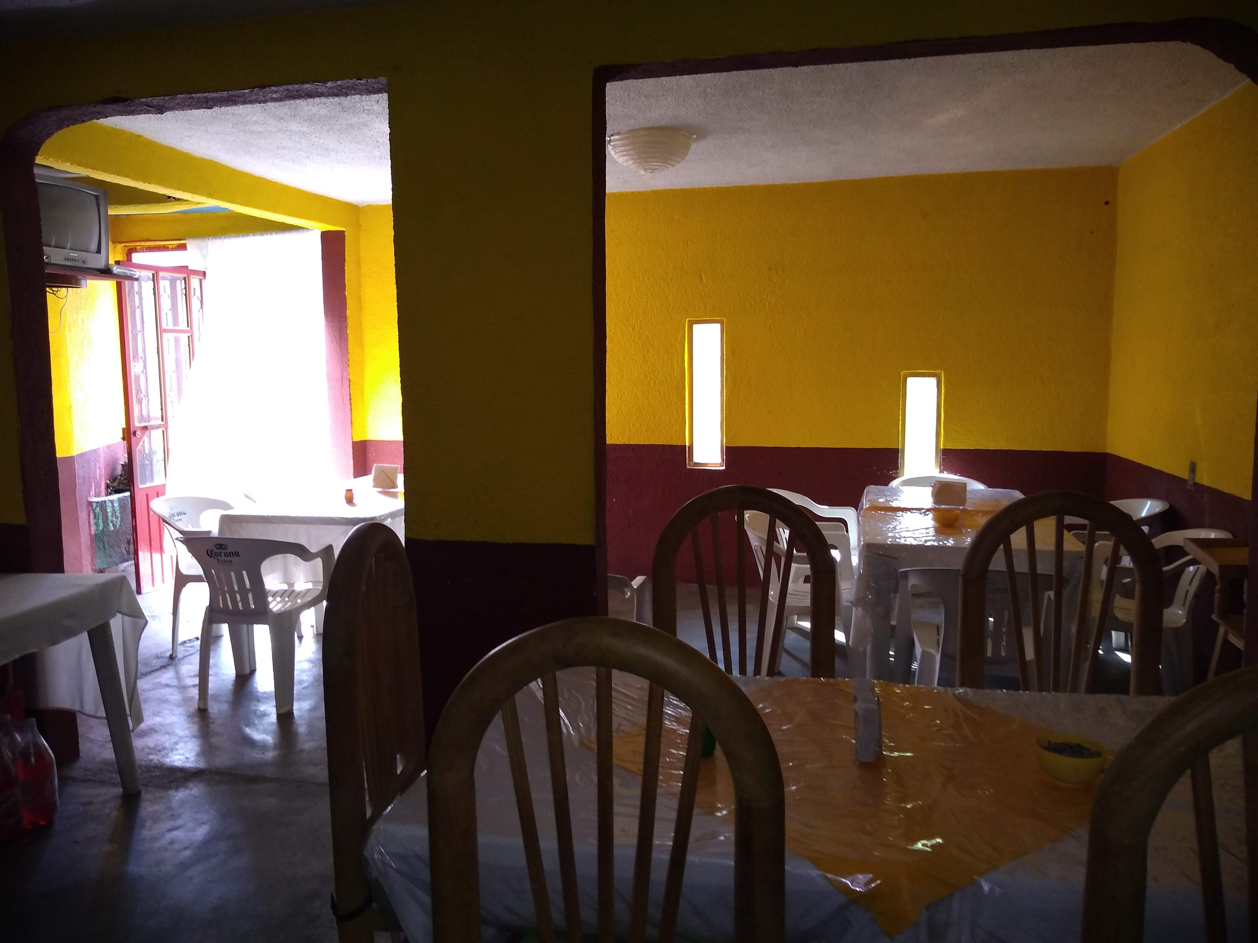 El Pollito Eitan image 9