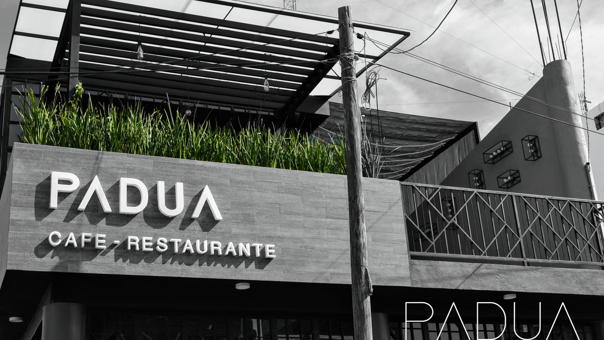 PADUACAFE image 1
